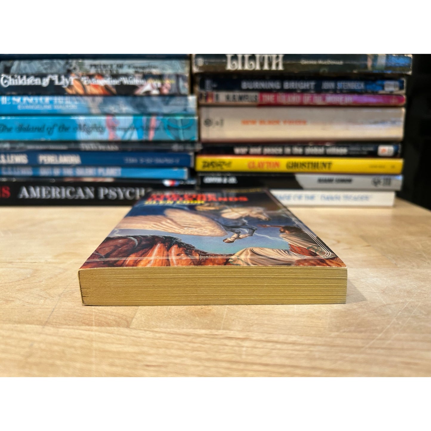 The Fire In His Hands - Glen Cook - Timescape - Paperback