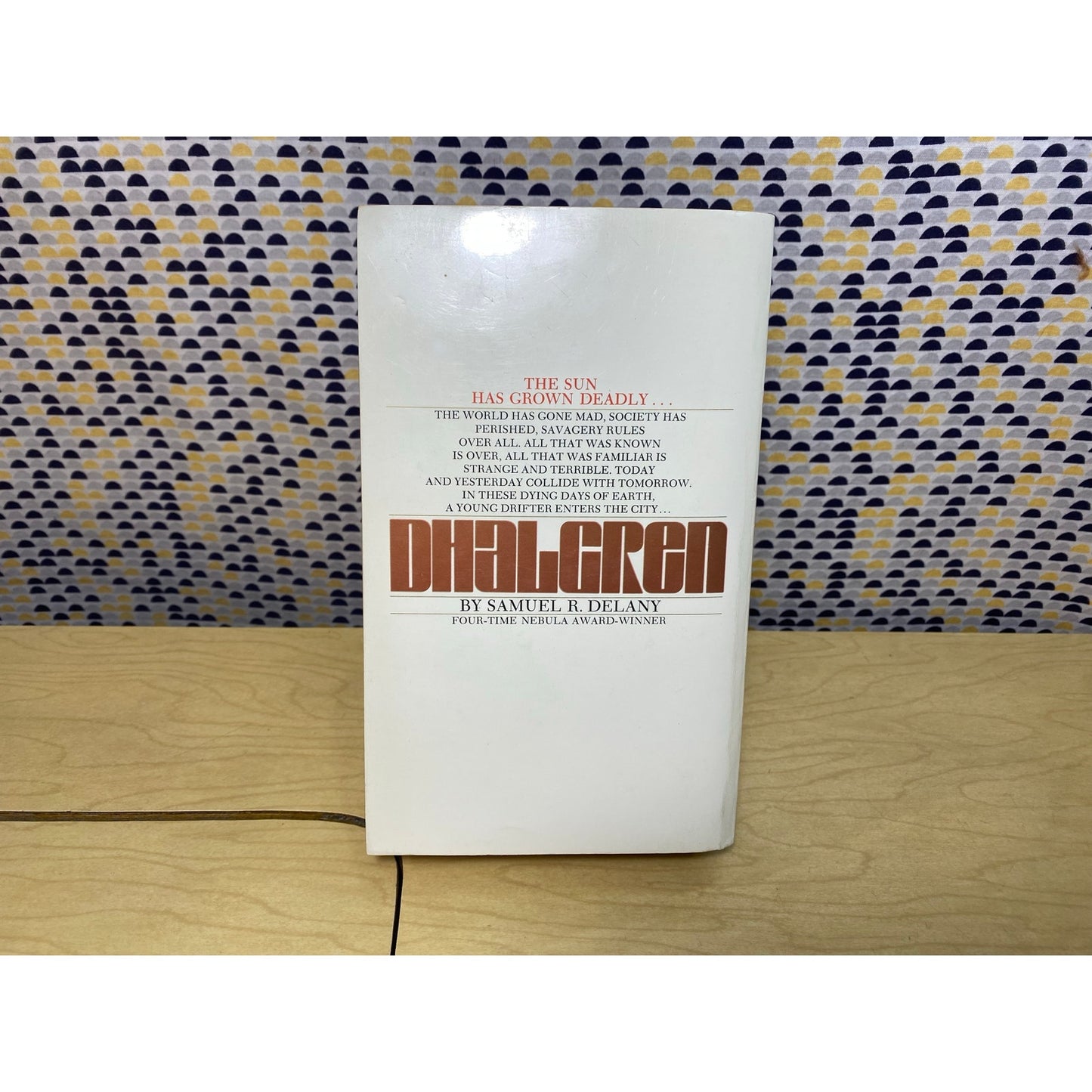 Dhalgren - Samuel R. Delany - Vintage Paperback Book - Bantam Science Fiction Edition