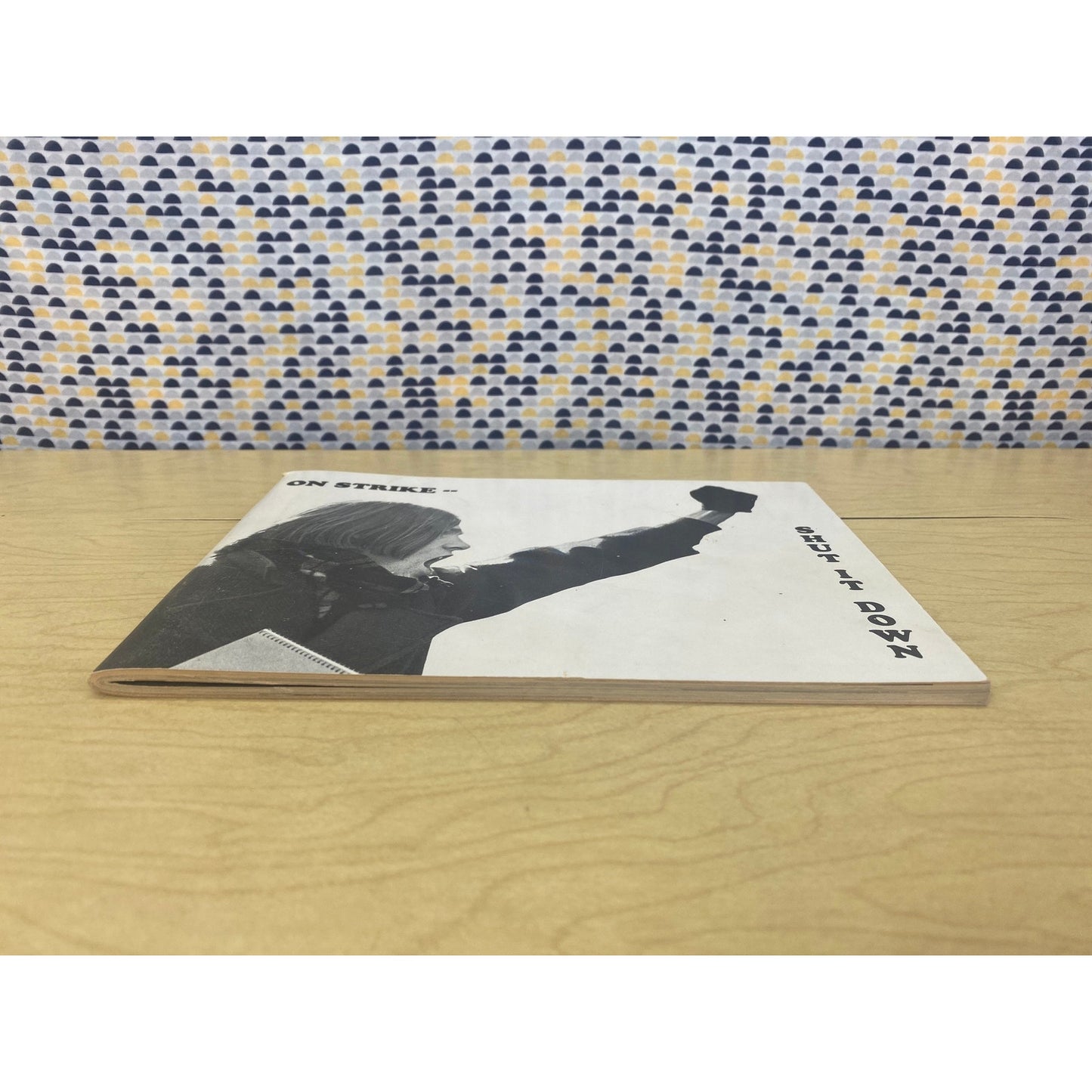 On Strike - Shut It Down - UW Madison Student Strike - Richard Faverty - Joel Brenner - Vintage Paperback Book - 1969 Becket Associates