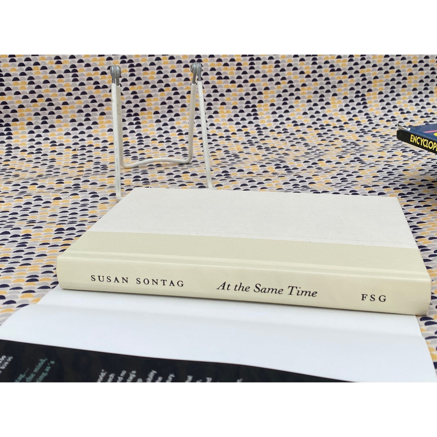 Susan Sontag - At The Same Time - Essays and Speeches - Vintage Hardcover Book - Farrar Strauss Giroux 1st Edition, 1st Print