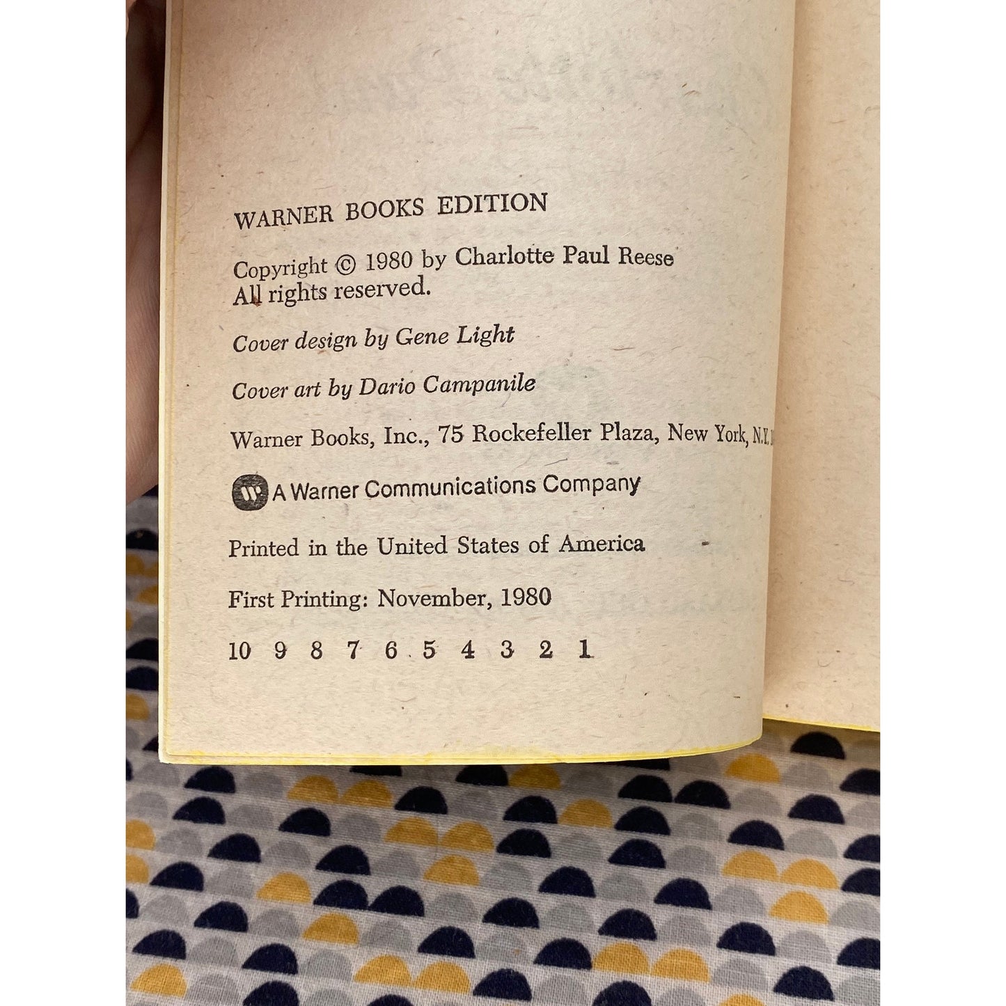 The Image - Charlotte Paul - Vintage Paperback Book - Warner Books Edition
