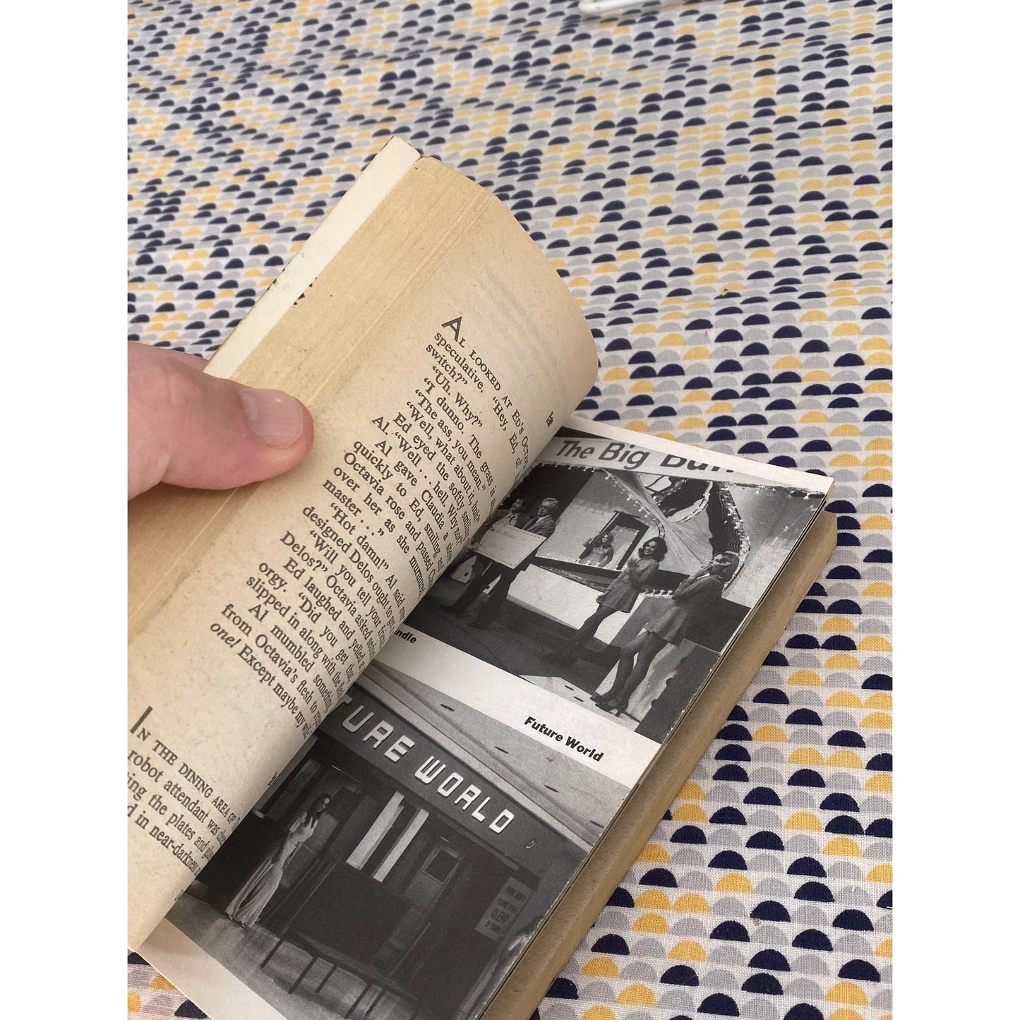 Futureworld - adapted by John Ryder Hall - Movie Tie In - Vintage Paperback Book - Ballantine Edition