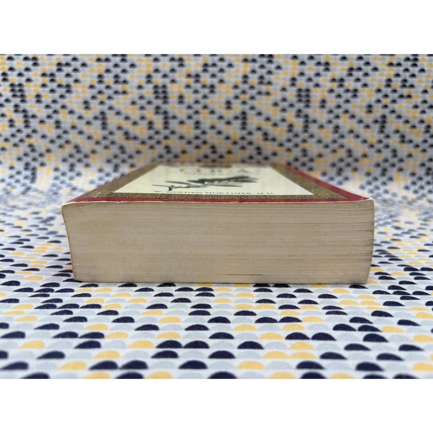 History Of Coca - W. Golden Mortimer - Fitz Hugh Ludlow - Paperback