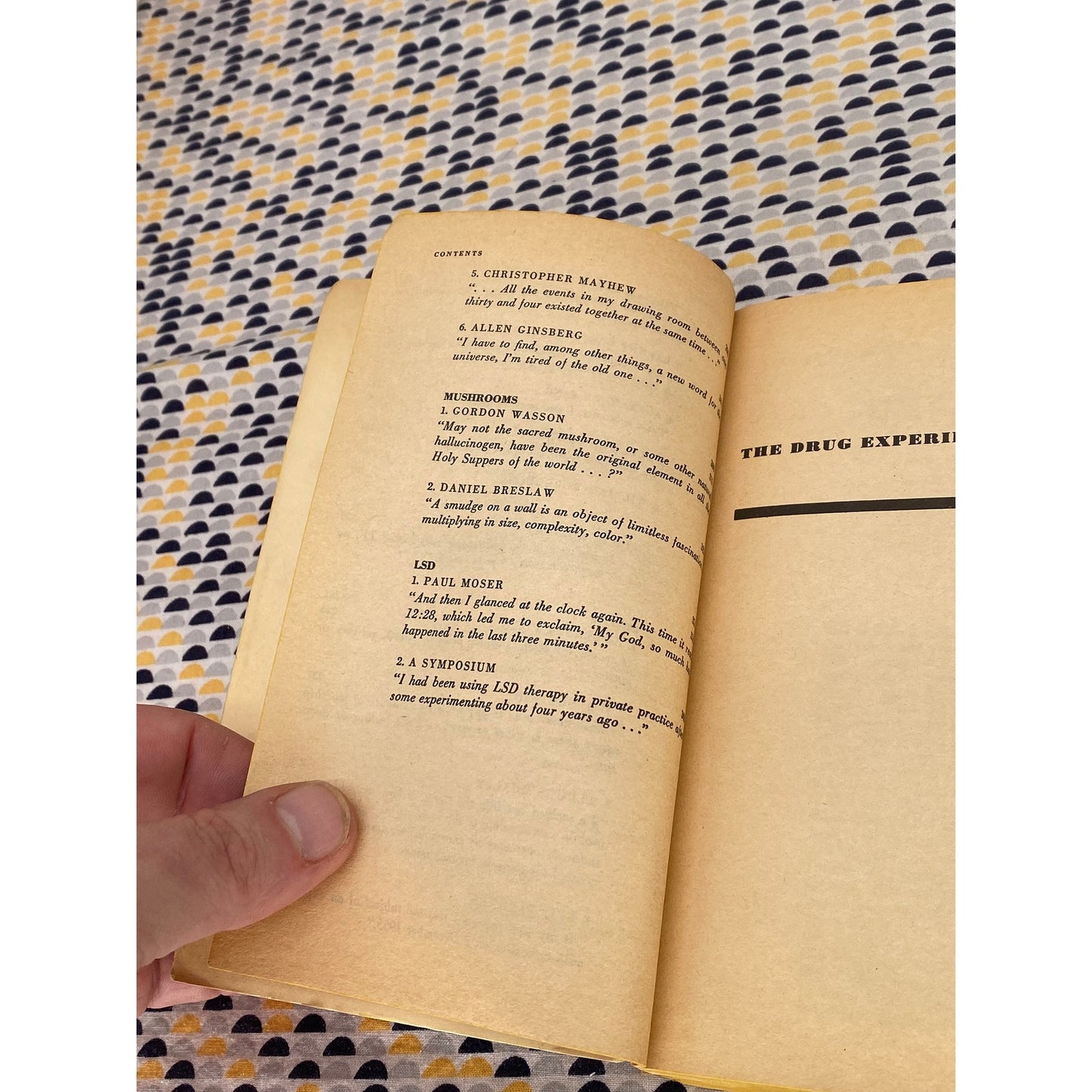The Drug Experience - Ed by David Ebin - Huxley, Burroughs, Ginsberg, Crowley - Vintage Paperback Book - Evergreen / Grove Press Edition
