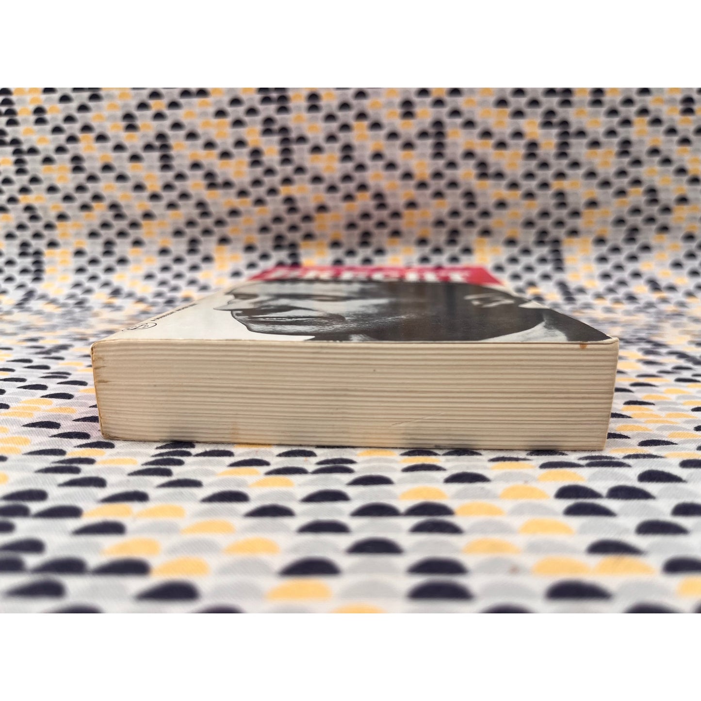 Brecht - Martin Esslin - Doubleday Anchor Books - Paperback