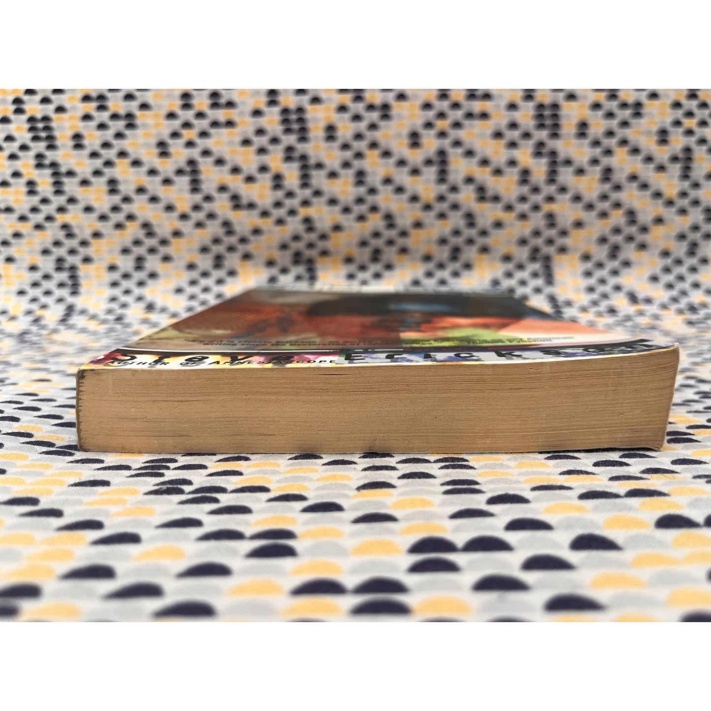 Arc D'X - Steve Erickson - Owl Books - Paperback