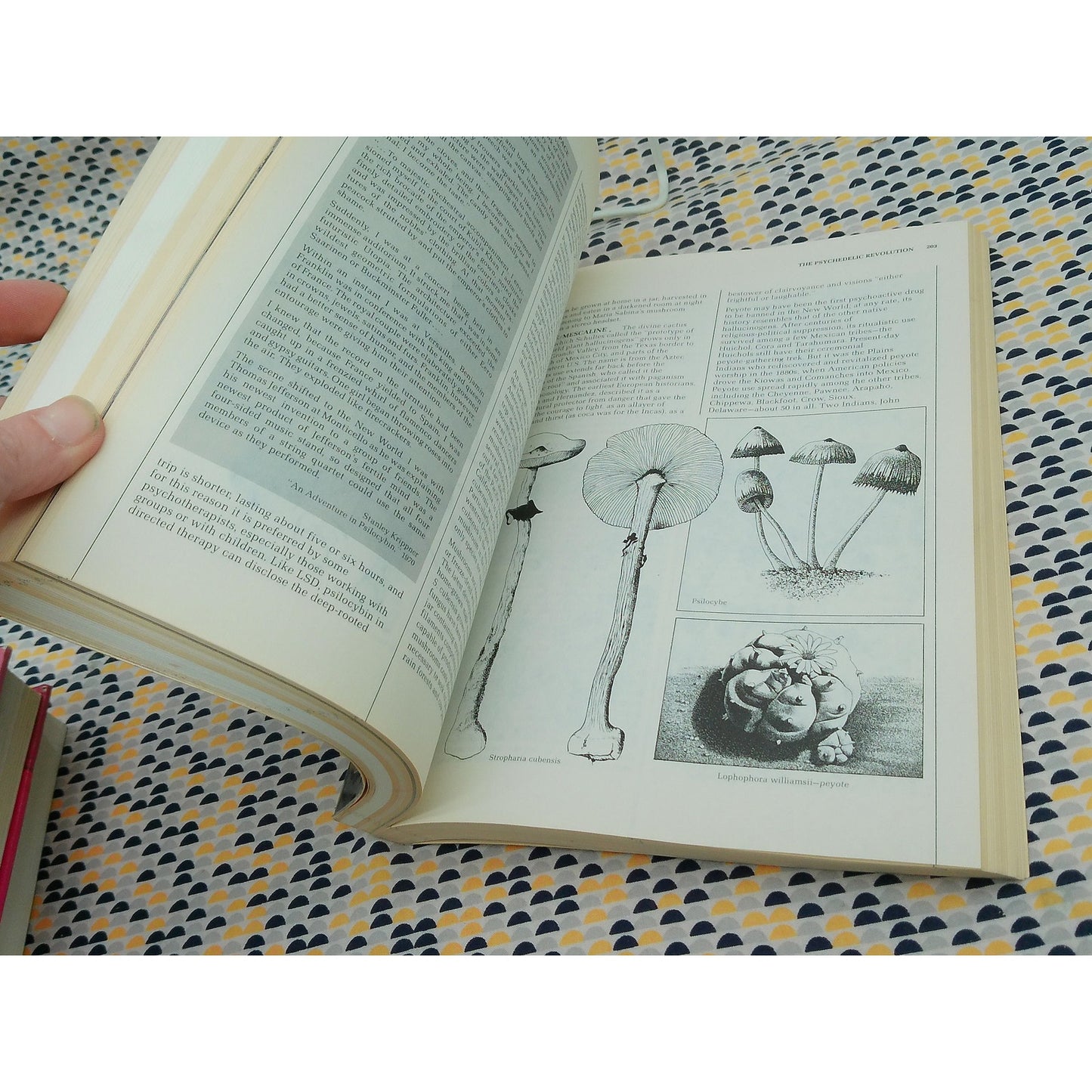 High Times Encyclopedia Of Recreational Drugs - Aldrich, Ashley and Horowitz