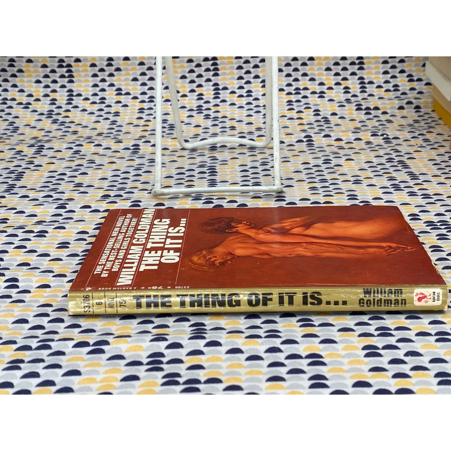 The Thing Of It Is... - William Goldman - Vintage Paperback Book- Bantam Edition