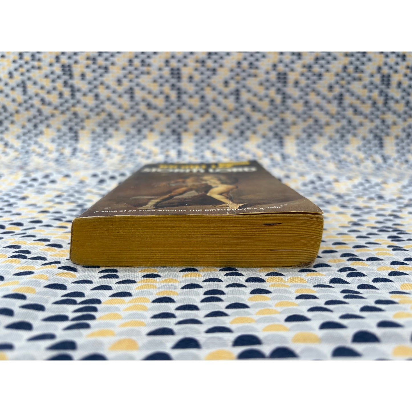 The Storm Lord - Tanith Lee - Daw - Paperback