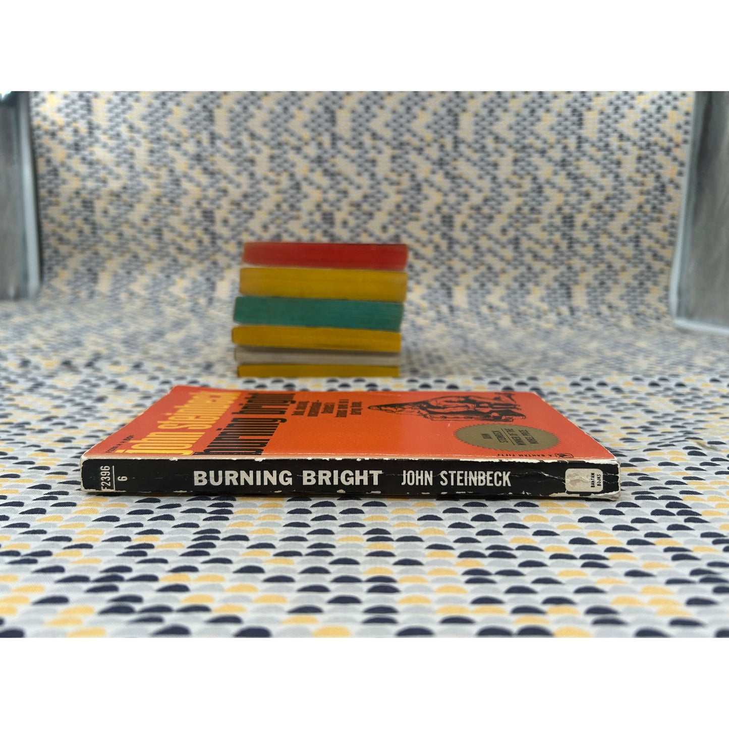Burning Bright - John Steinbeck - Vintage Paperback Book Bantam Books Edition