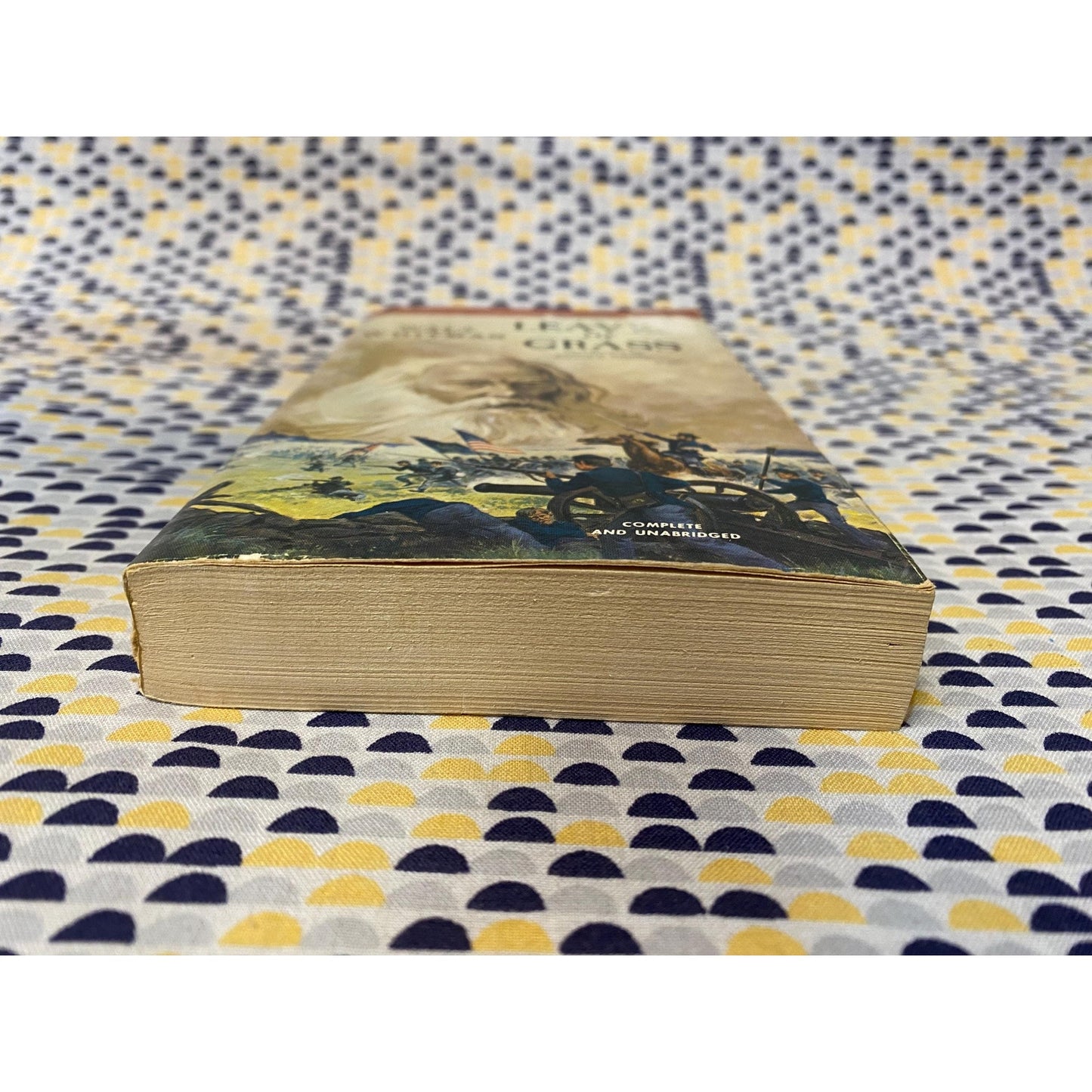 Leaves of Grass - Walt Whitman - Vintage Paperback Book - Airmont Edition