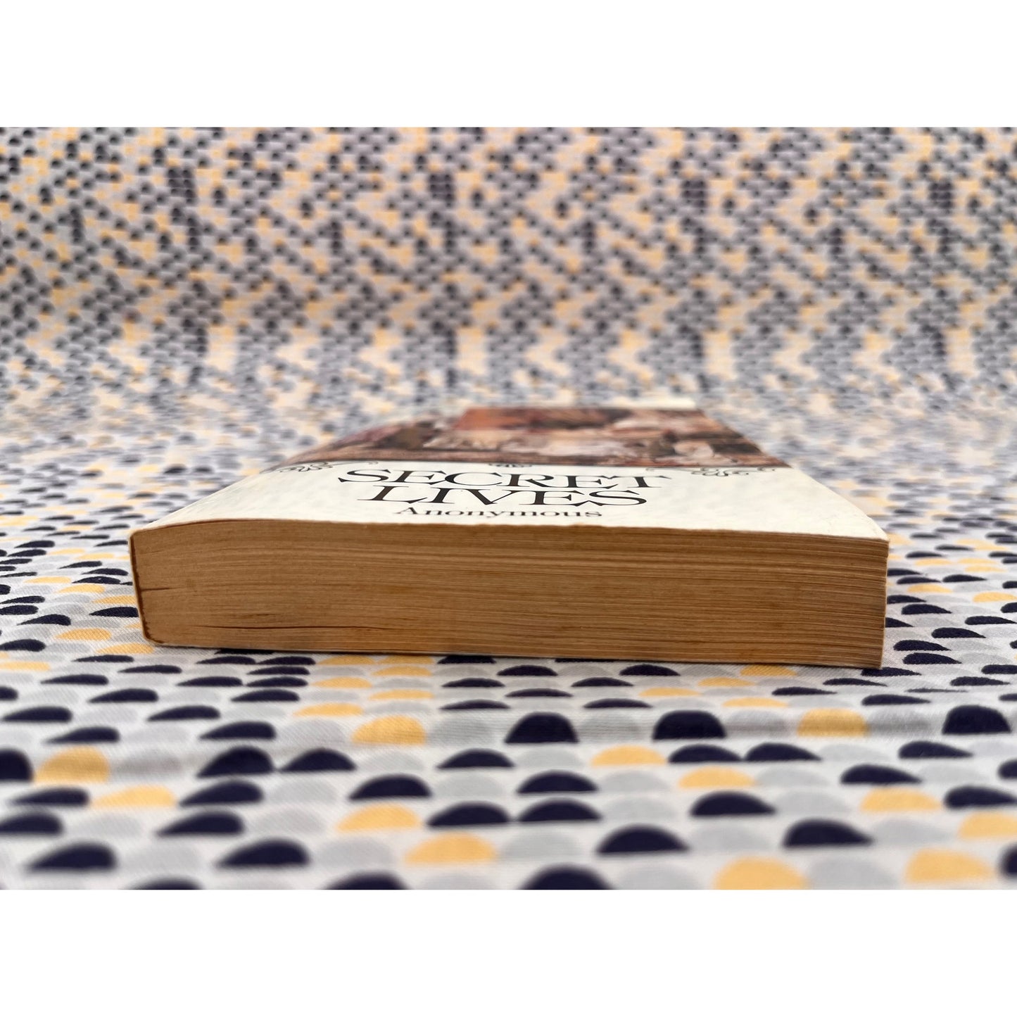 Secret Lives - Anonymous - Carol and Graff Books - Paperback