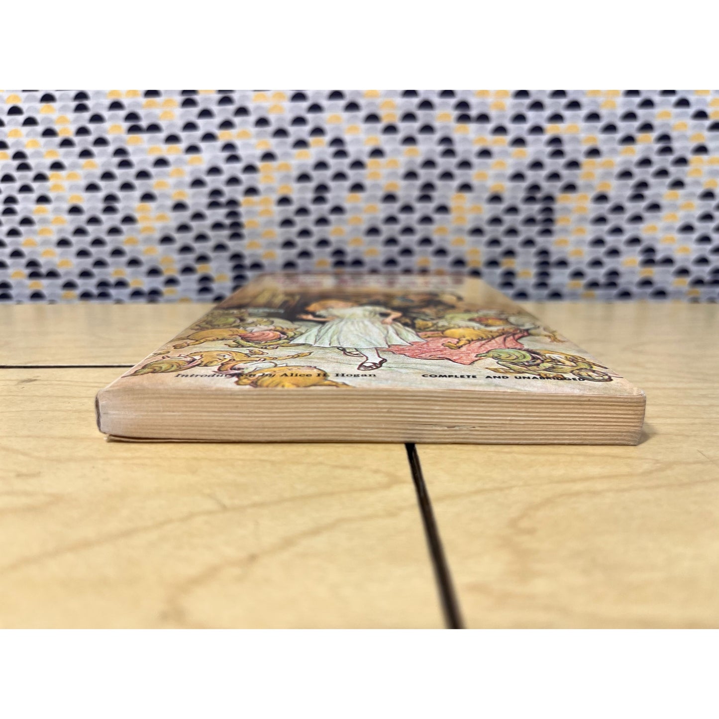 The Princess and the Goblin - George Macdonald - Airmont Classic - Paperback
