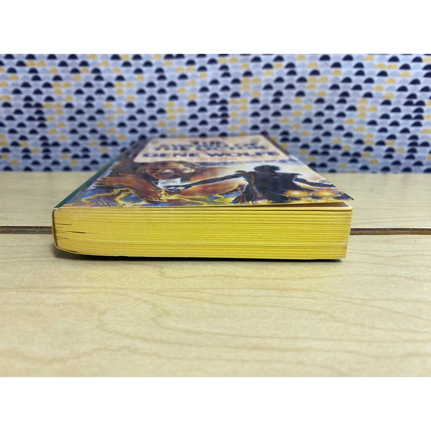 The Sword Of The Lictor - Gene Wolfe - Book of the New Sun - Vintage Paperback Book - Pocket Edition