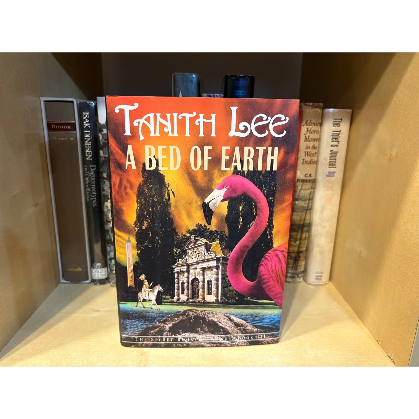 A Bed Of Earth - Tanith Lee - Overlook - Hardcover - 1st Edition