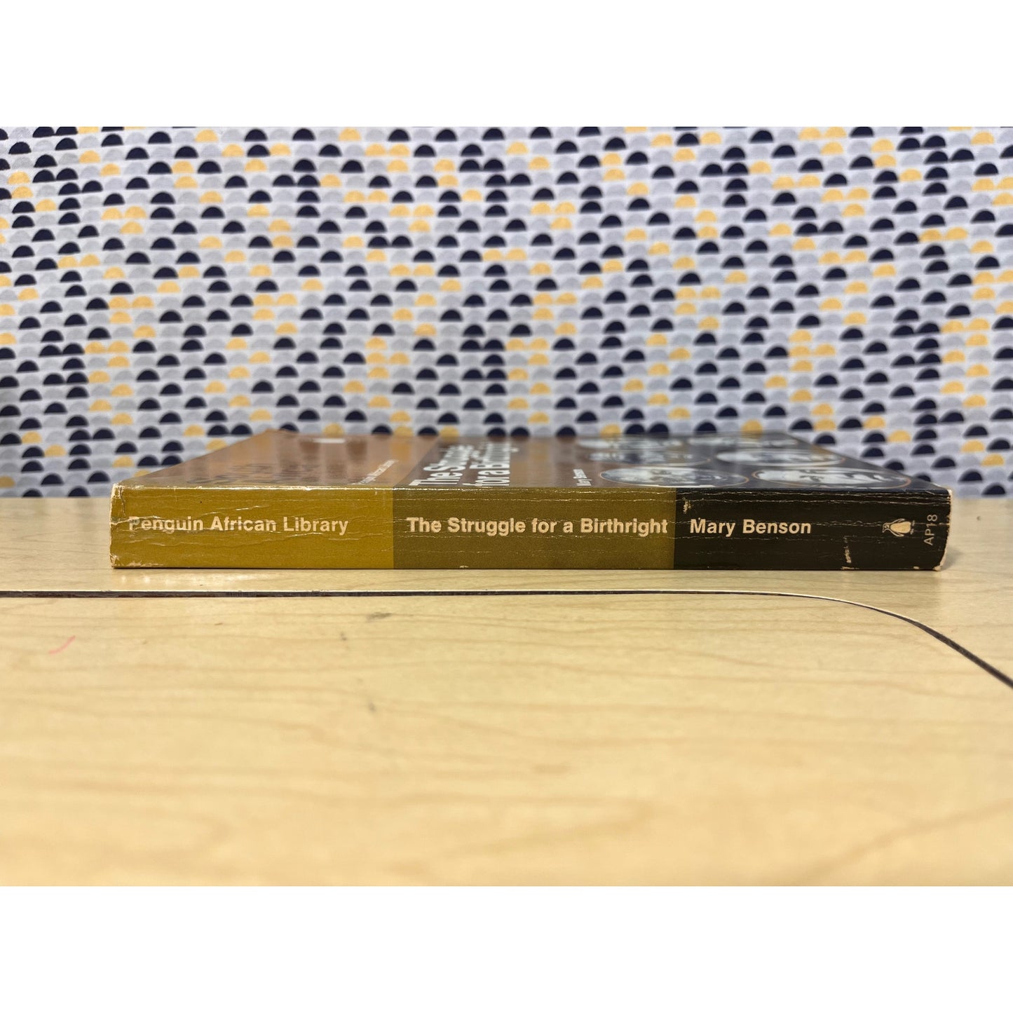 The Struggle for a Birthright - Mary Benson - Penguin African Library