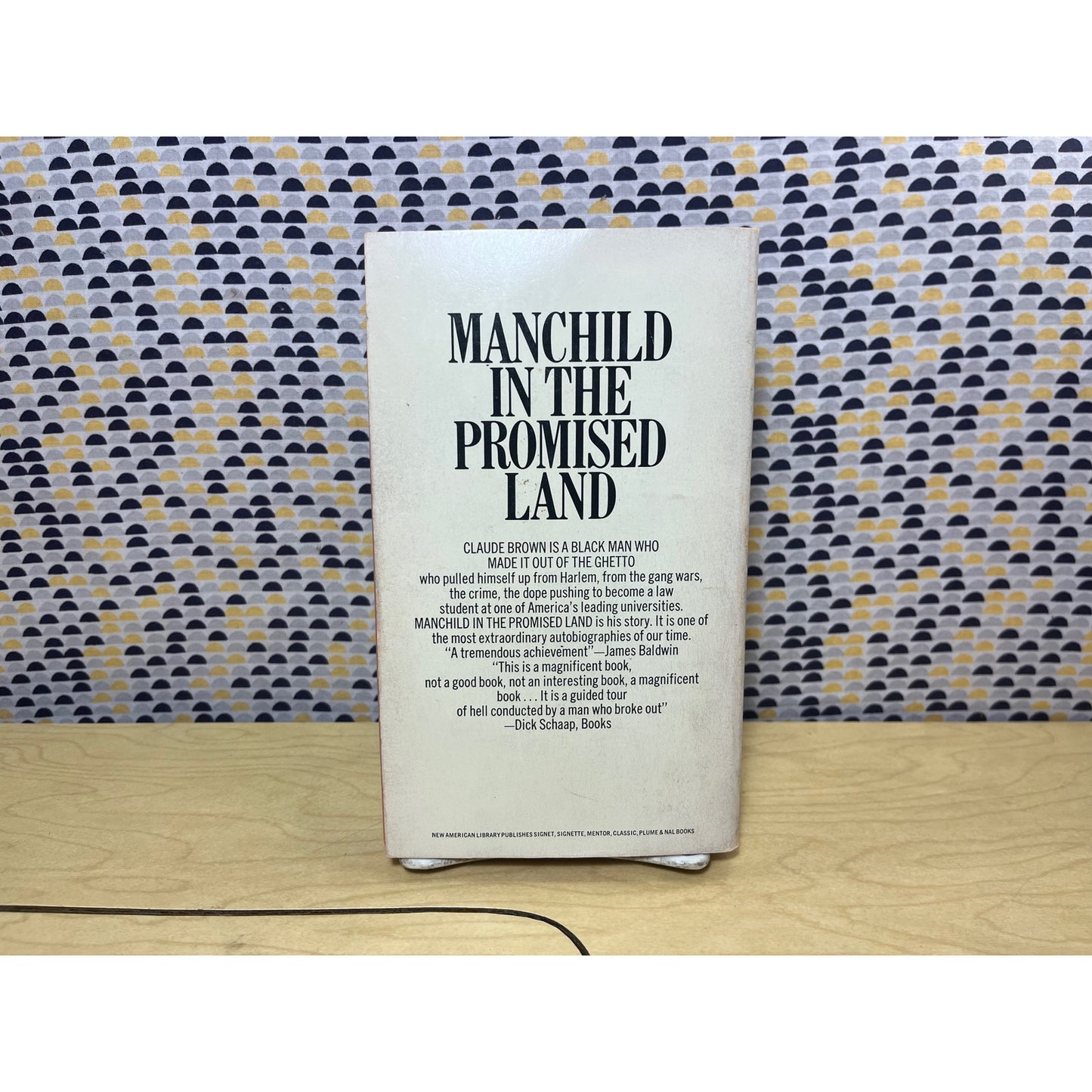 Manchild in the Promised Land - Claude Brown - Vintage Paperback Book - Signet Edition