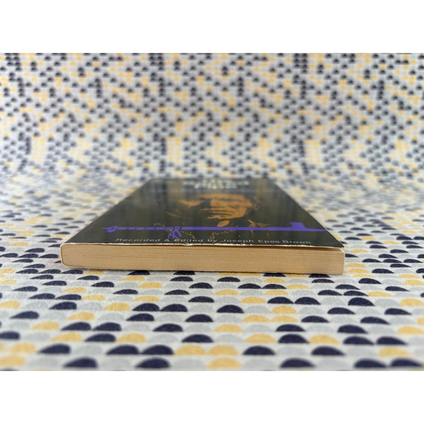 The Sacred Pipe - Black Elk's Account of the 7 Rites of the Oglala Sioux - Vintage Paperback Book - Penguin Edition