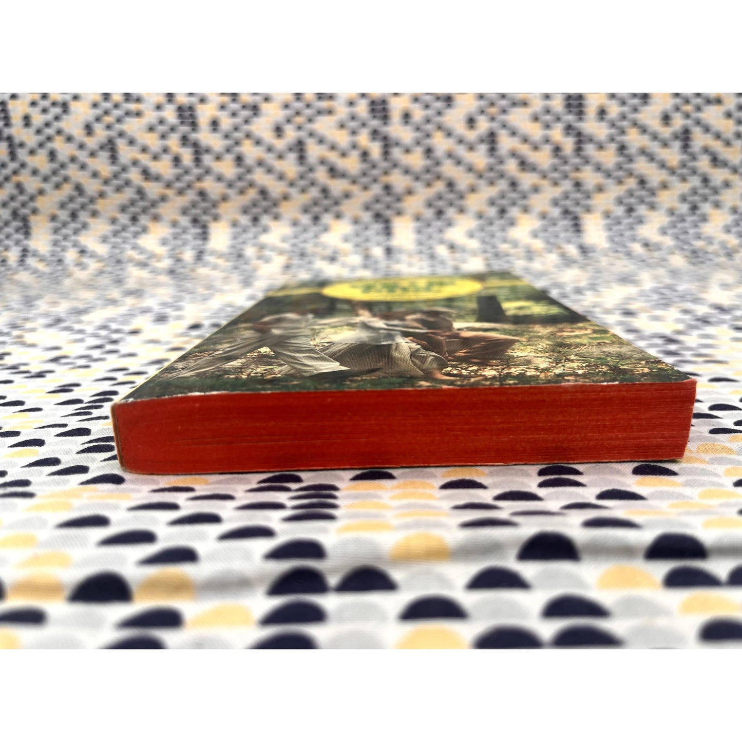 Willie & Phil - Joyce Thompson - Avon Books - Movie Novelization