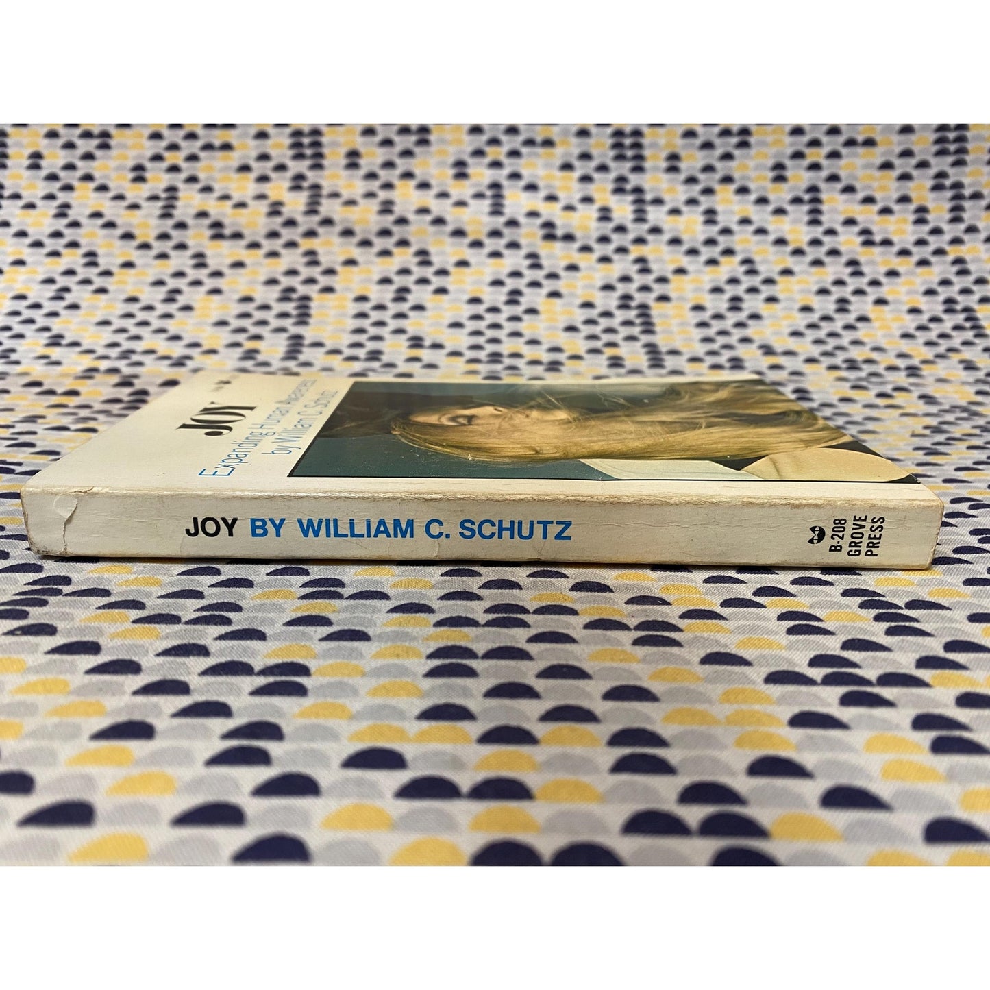 Joy - Expanding Human Awareness - William Schutz - Vintage Paperback Book - 1969 Evergreen Black Cat Edition