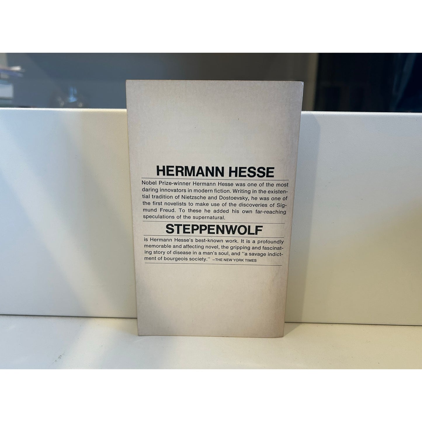 Steppenwolf - Hermann Hesse - Bantam Edition - Paperback