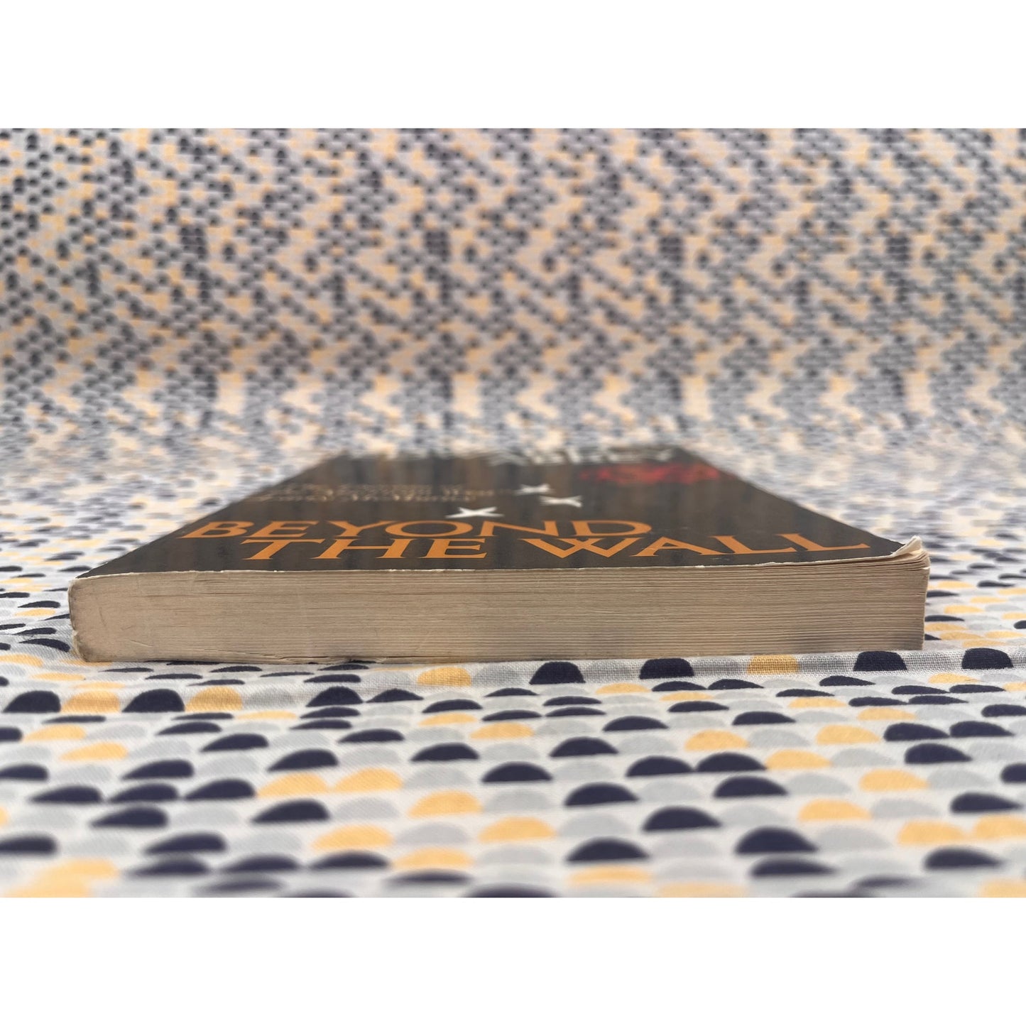 Beyond The Wall - Edward Abbey - Owl Books - Paperback