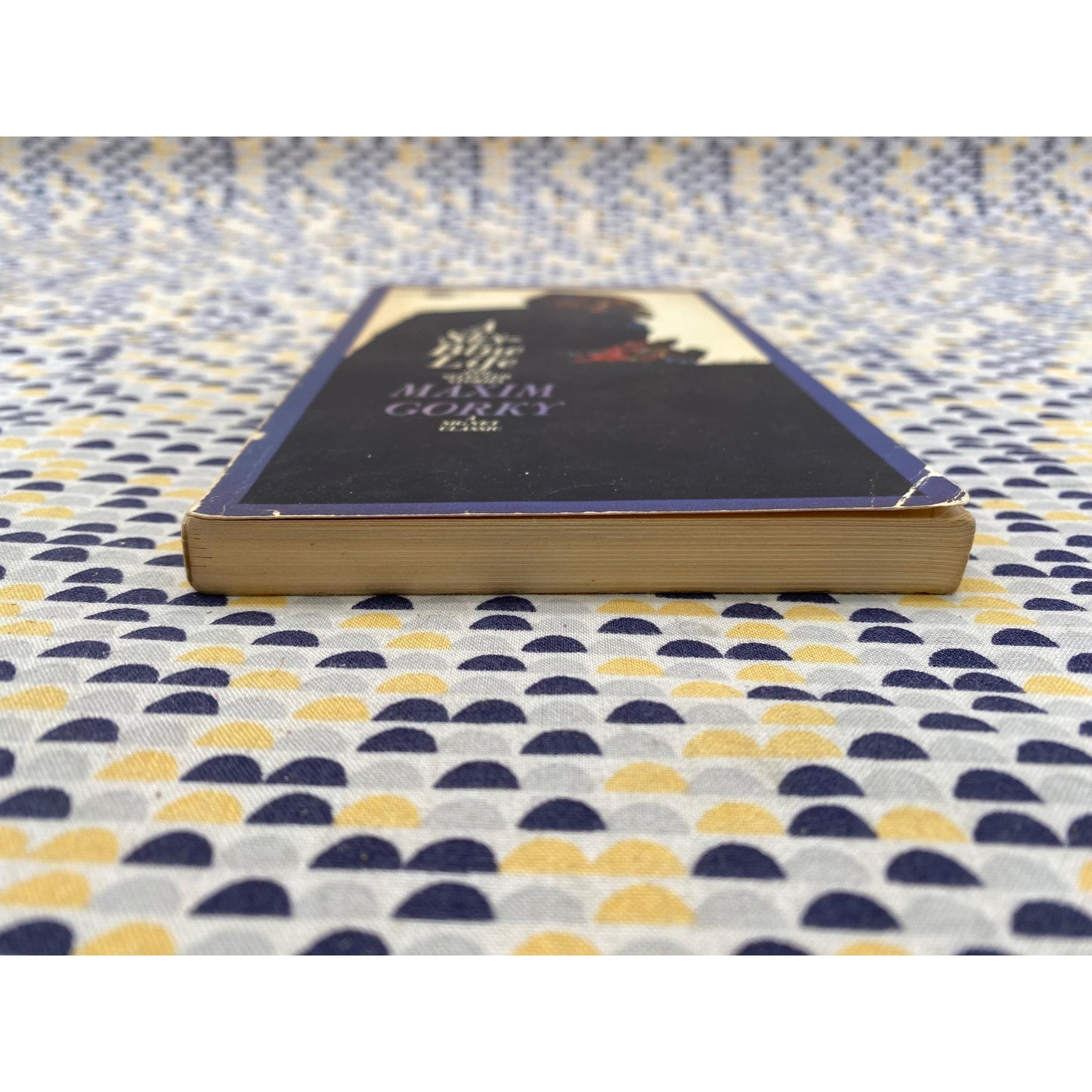 A Sky Blue Life - Maxim Gorky - Gorki - Paperback - Signet Classics Edition