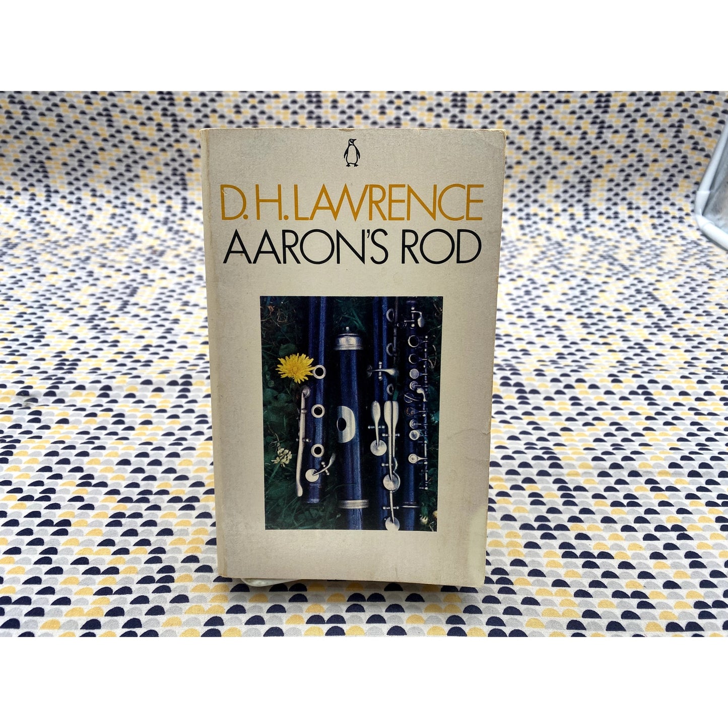 Aaron's Rod - D.H Lawrence - Penguin - Paperback