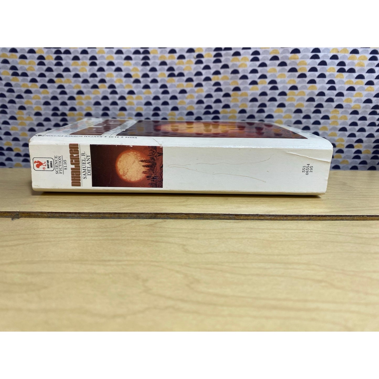 Dhalgren - Samuel R. Delany - Vintage Paperback Book - Bantam Science Fiction Edition