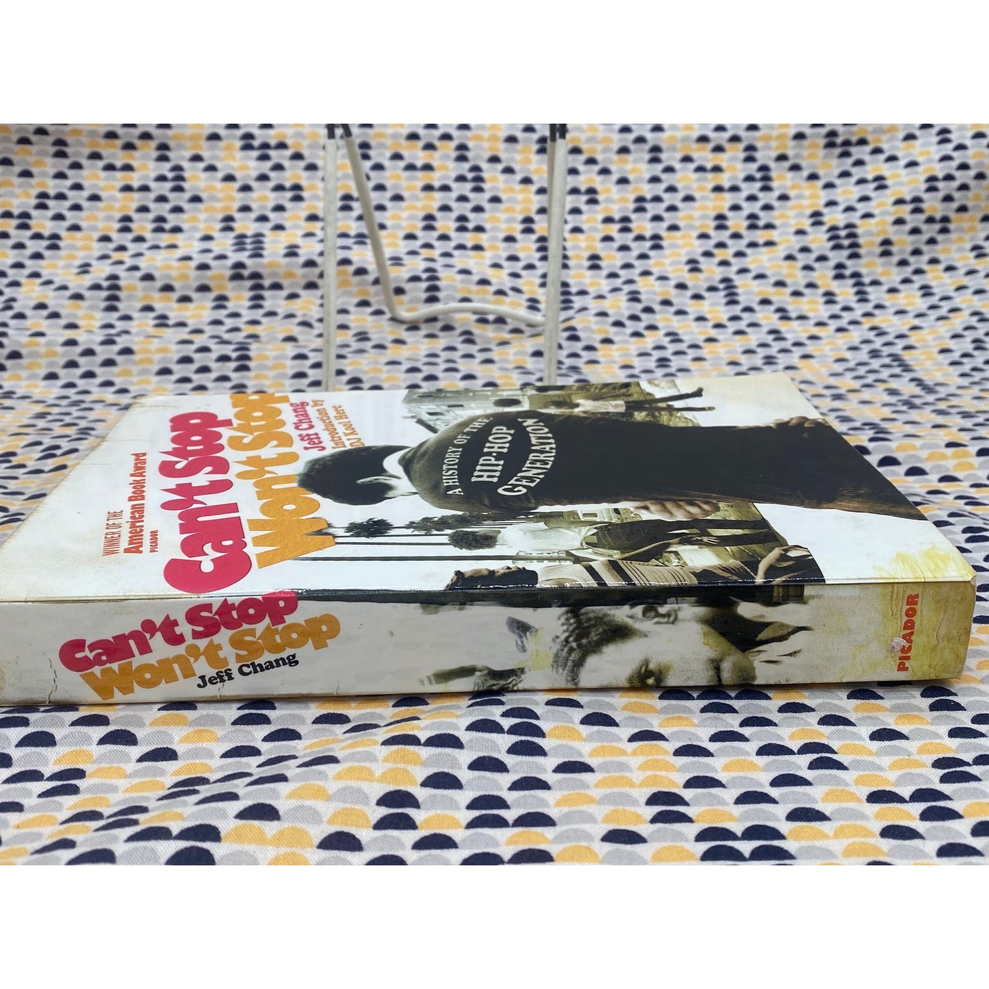 Can't Stop Won't Stop - A History of the Hip-Hop Generation - Jeff Chang