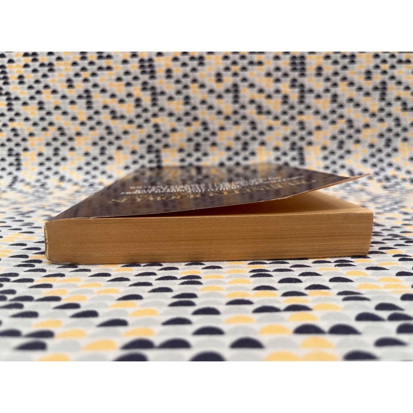 The Other Persuasion - Short Fiction About Gay Men and Women Ed. Seymour Kleinberg - Vintage Books