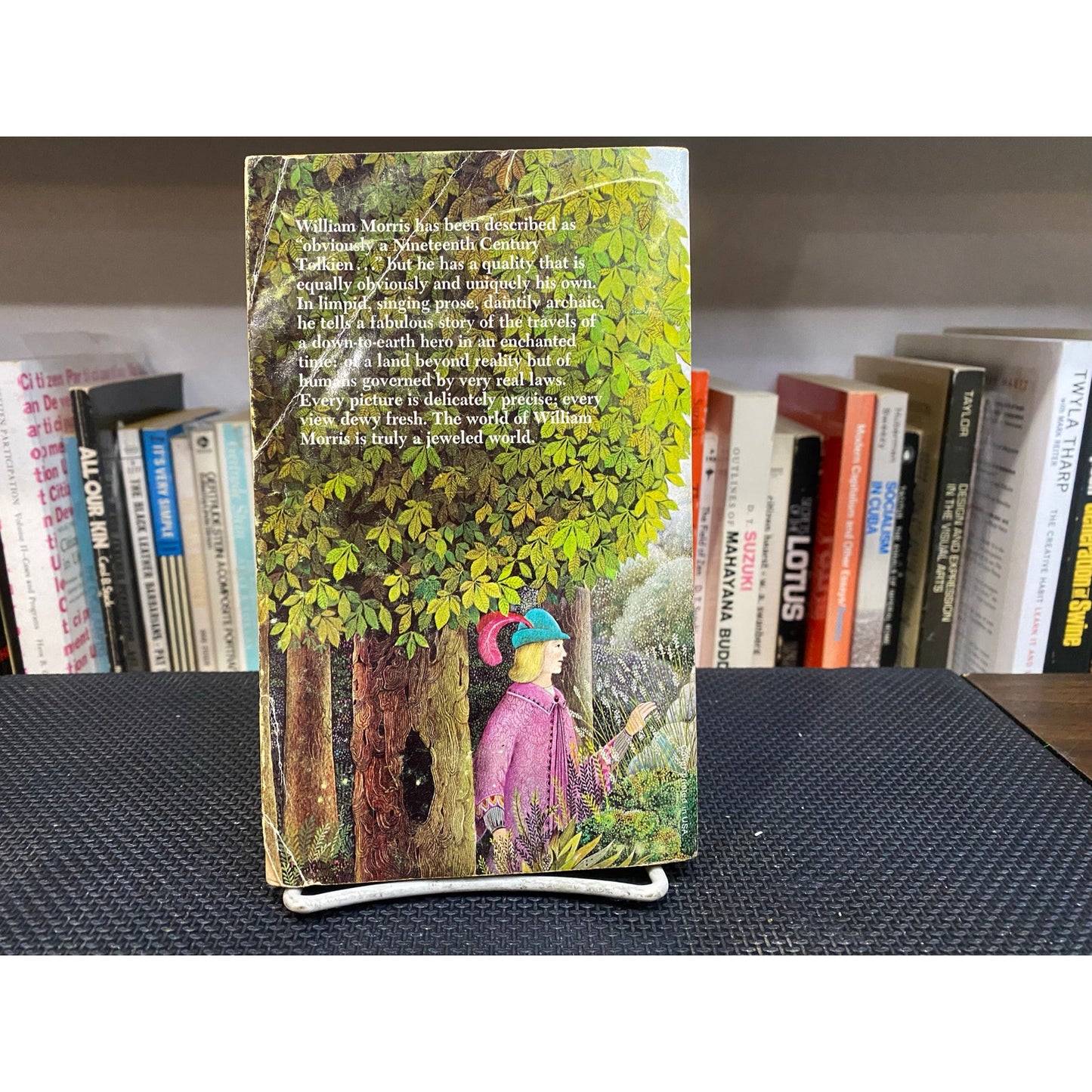 The Wood Beyond The World - William Morris - Vintage Paperback Book - Ballantine Adult Fantasy Edition