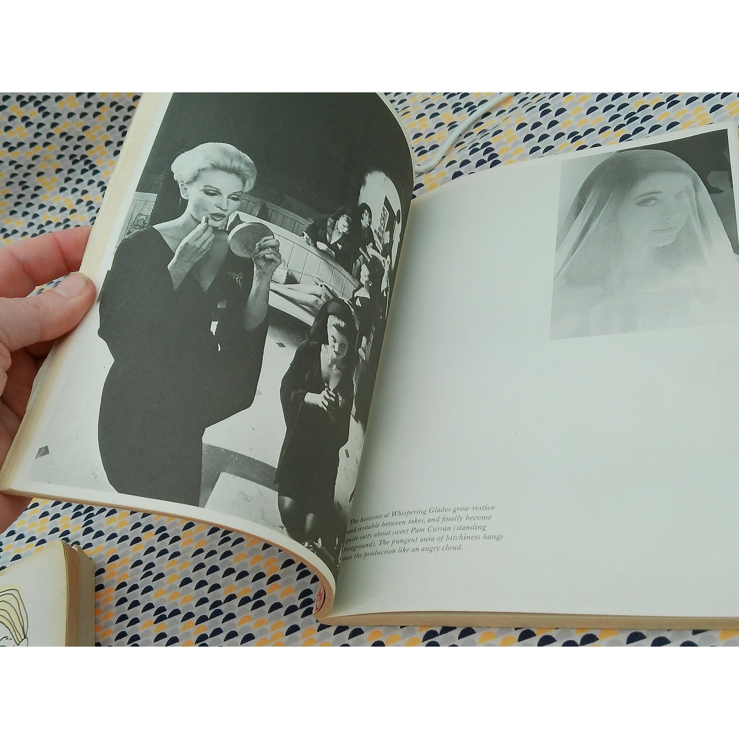 The Journal Of The Loved One - Terry and William Southern and Claxton