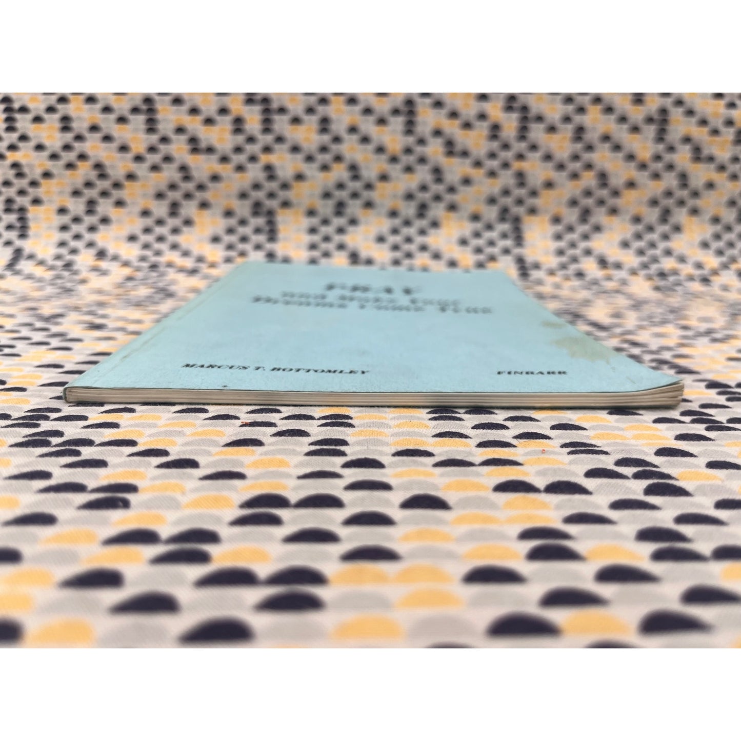 Pray and Make Your Dreams Come True - Marcus T. Bottomley - Finbarr Books - Paperback