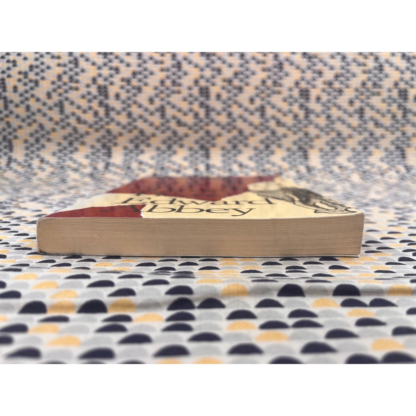 One Life at a Time, Please - Edward Abbey - Owl Books- Paperback