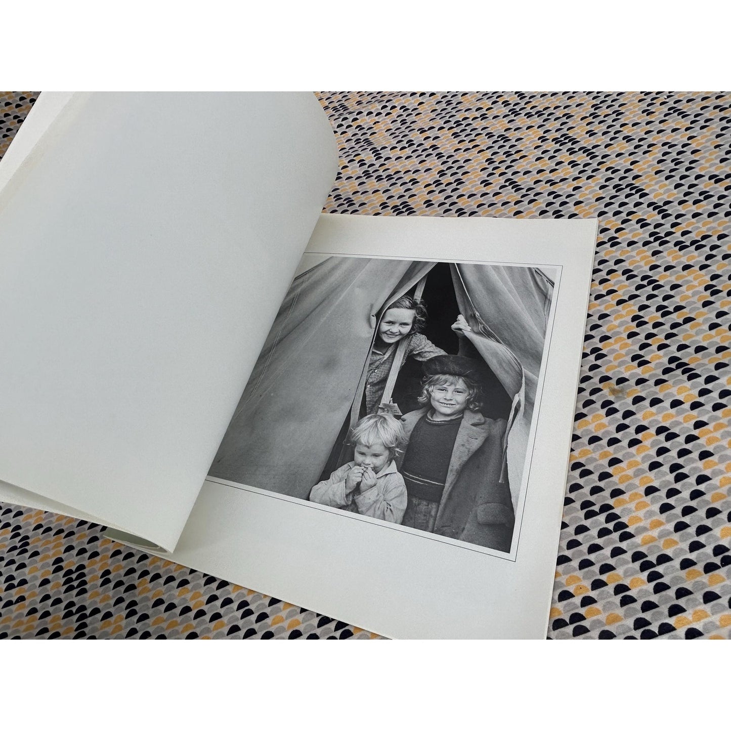 Masters Of Photography: Dorothea Lange - Jan Arrow, text- Macdonald & Co Edition