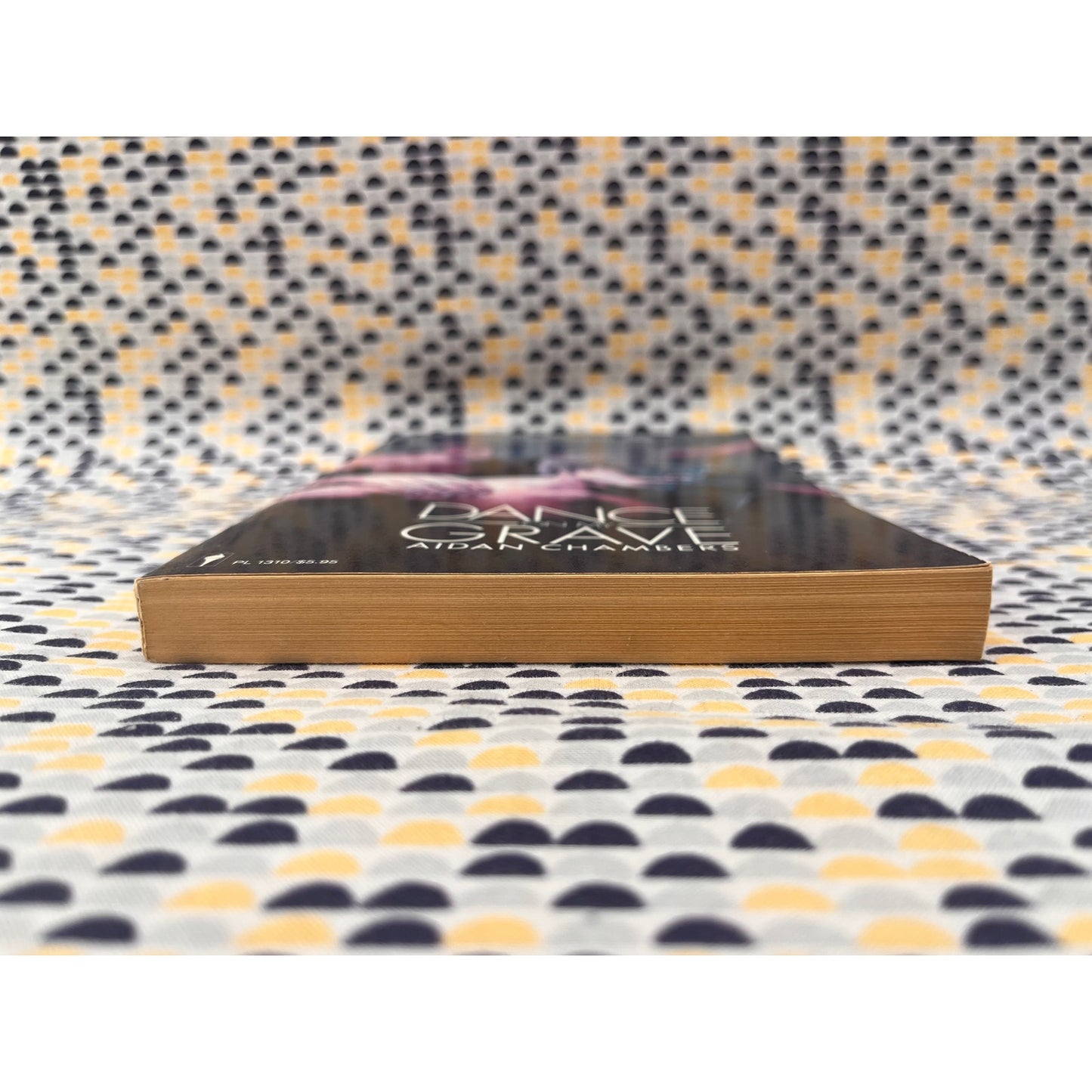 Dance on My Grave - Aidan Chambers - Perennial Library - Paperback