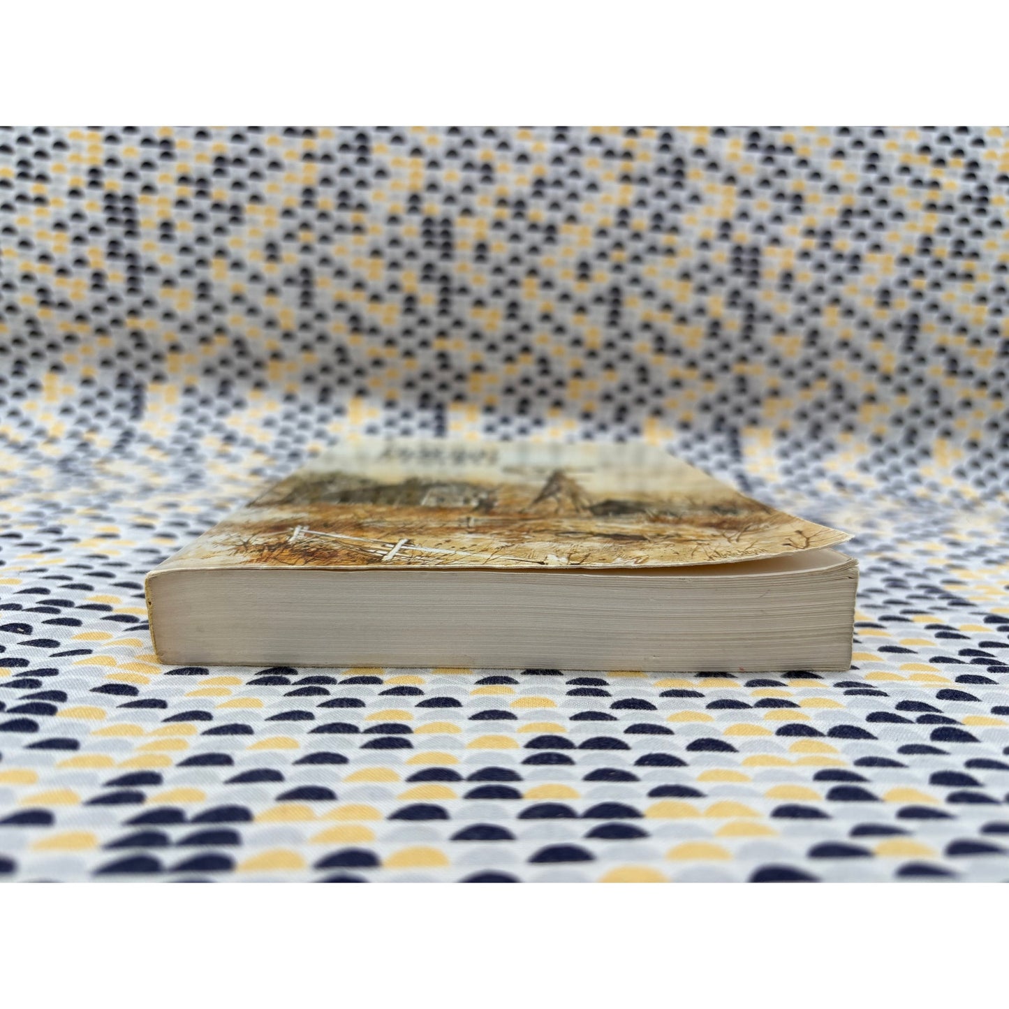 Slogum House - Mari Sandoz - Bison Book - Paperback