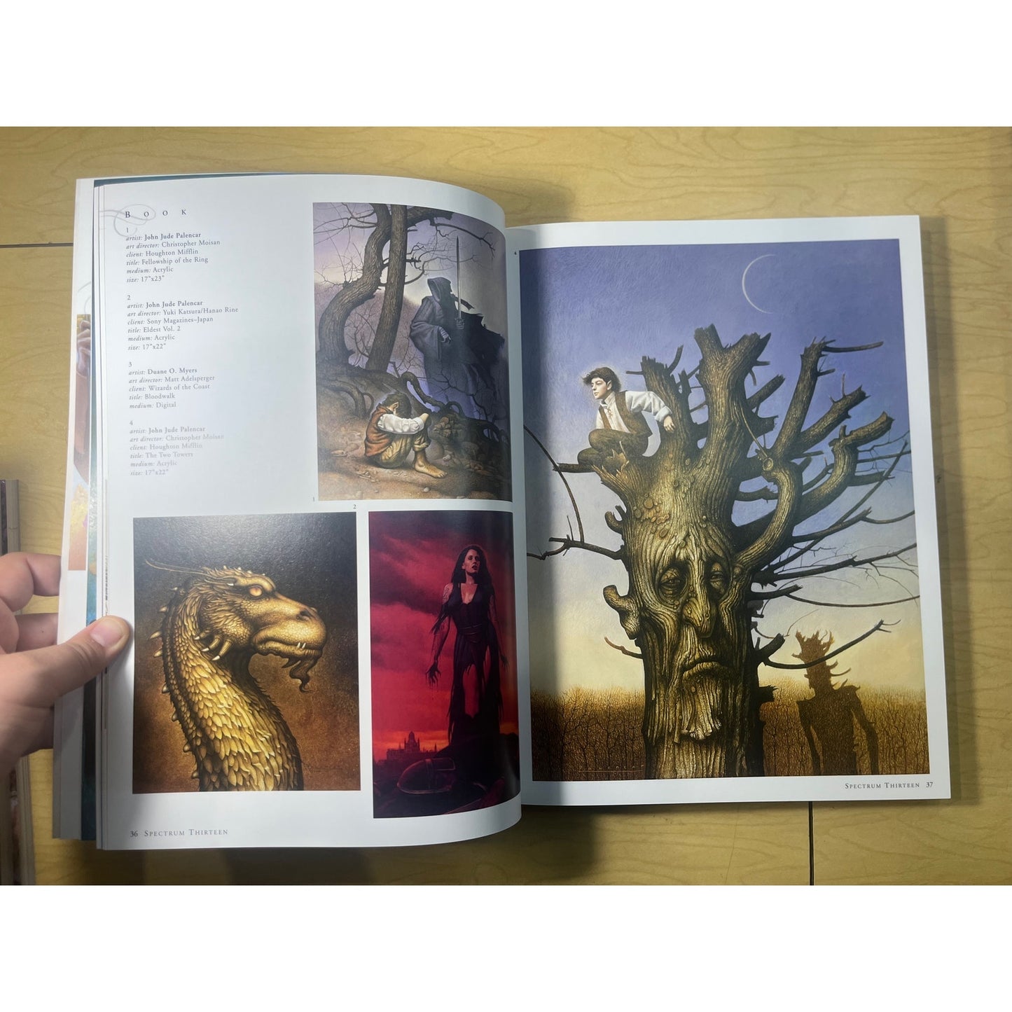 Spectrum #13 - The Best In Contemporary Fantastic Art - Paperback