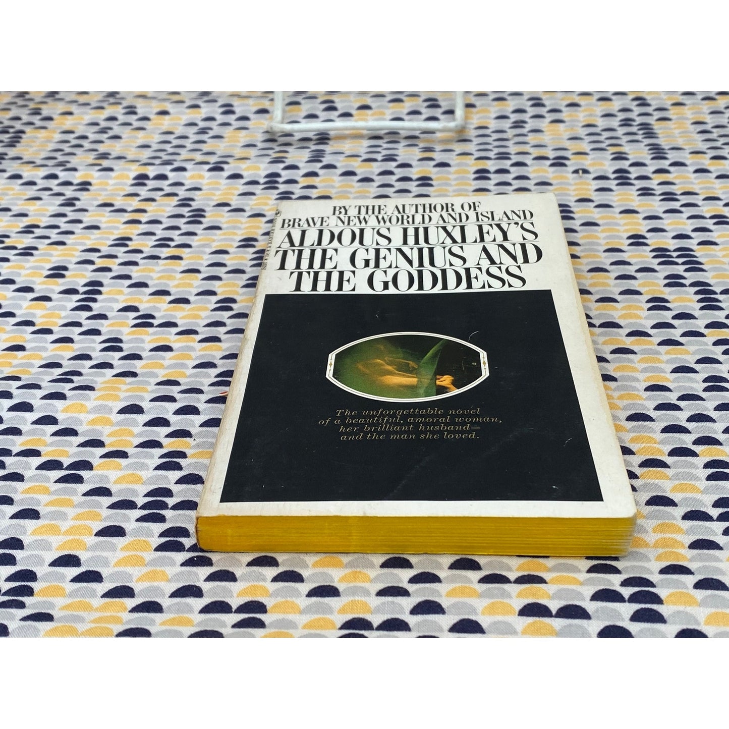 The Genius and the Goddess - Aldous Huxley - Vintage Paperback - Bantam Edition