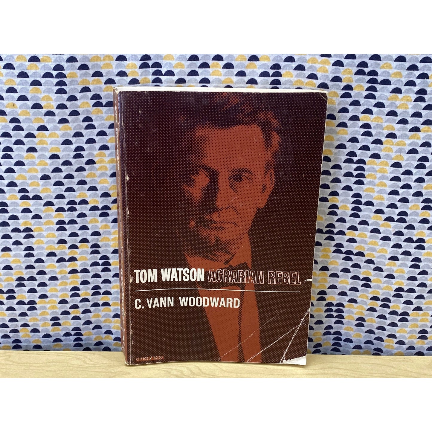 Tom Watson - Agrarian Rebel - C. Vann Woodward - Vintage Paperback Book - 1963 Oxford University Press