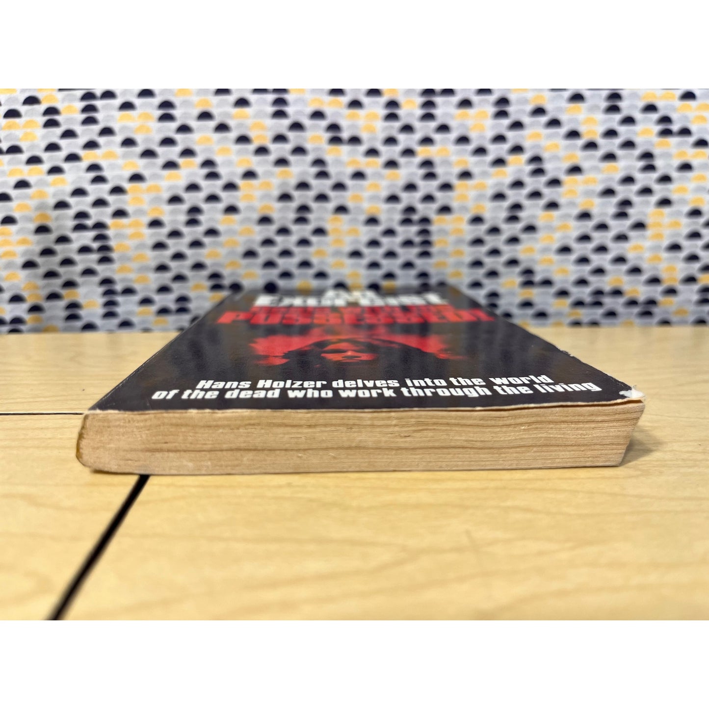 An Exorcist - Hans Holzer - Dale Books - Paperback