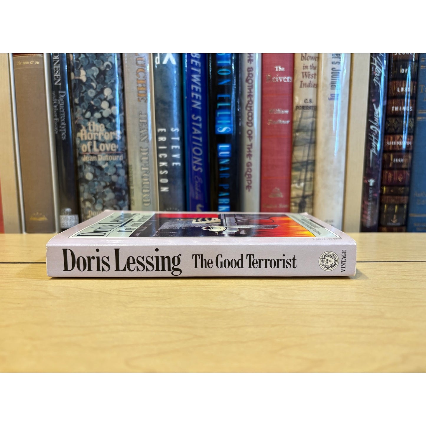 The Good Terrorist - Doris Lessing - Vintage - Paperback