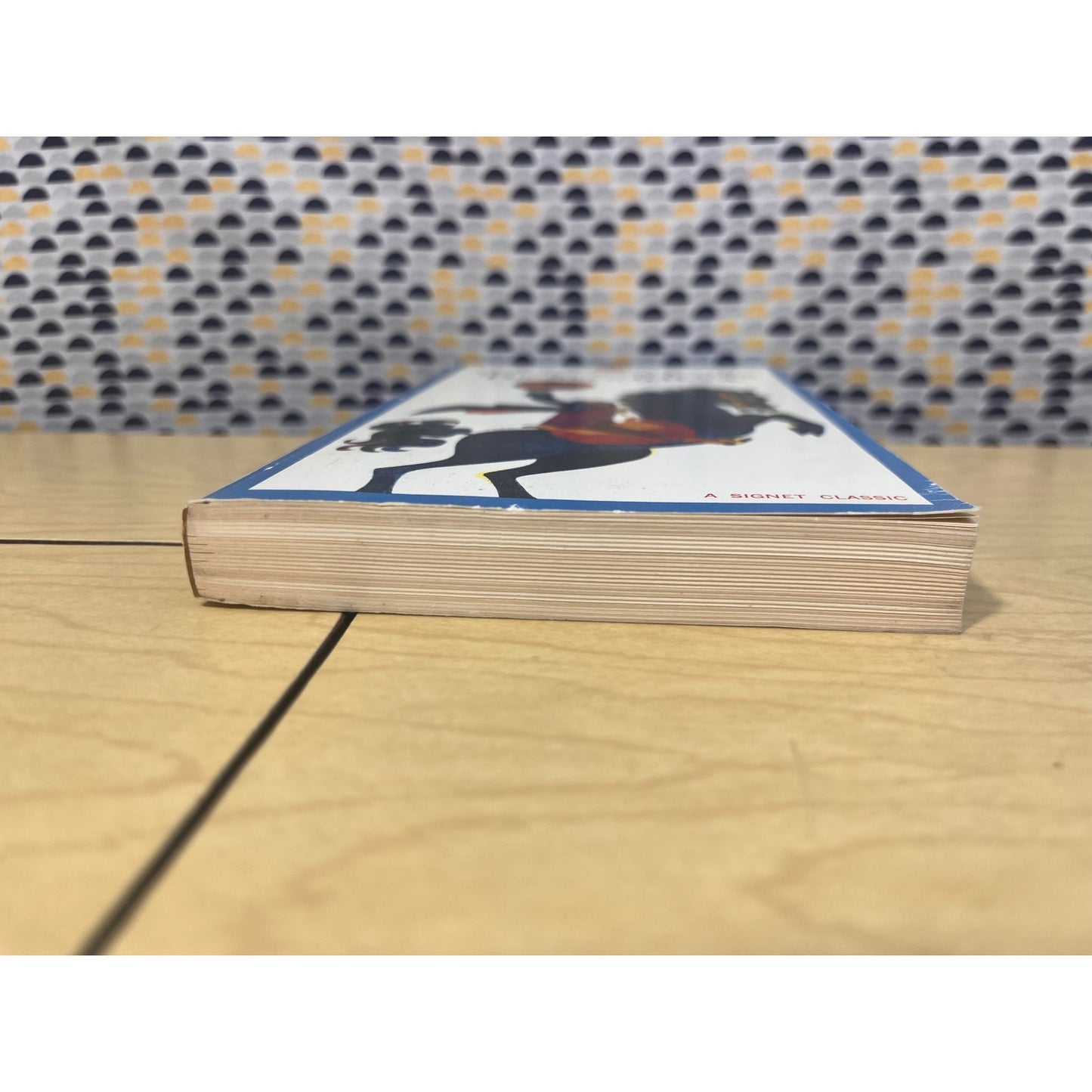 Washington Irving - The Sketch Book - Vintage Paperback- Signet Classics Edition