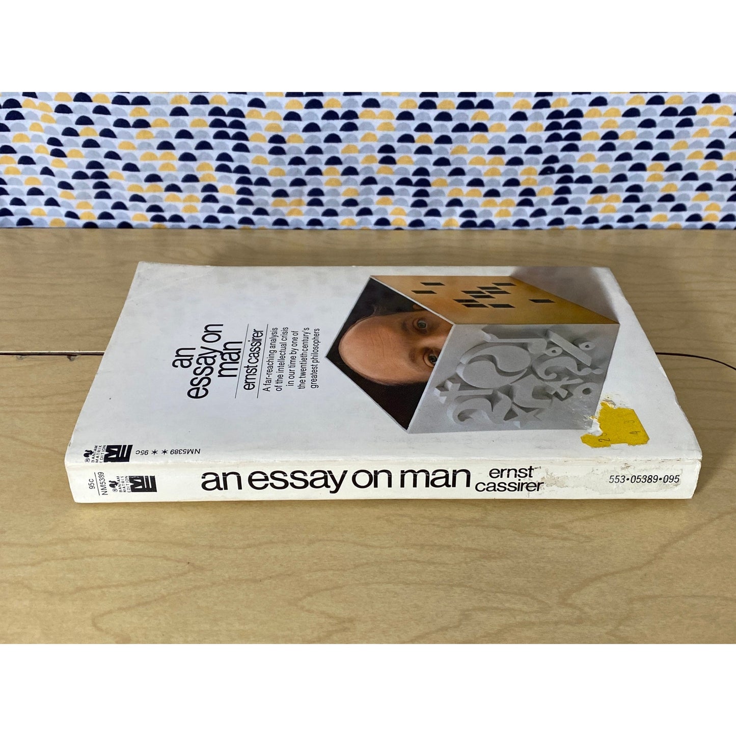An Essay on Man - Ernst Cassirer - Vintage Paperback Book -Bantam Matrix Edition
