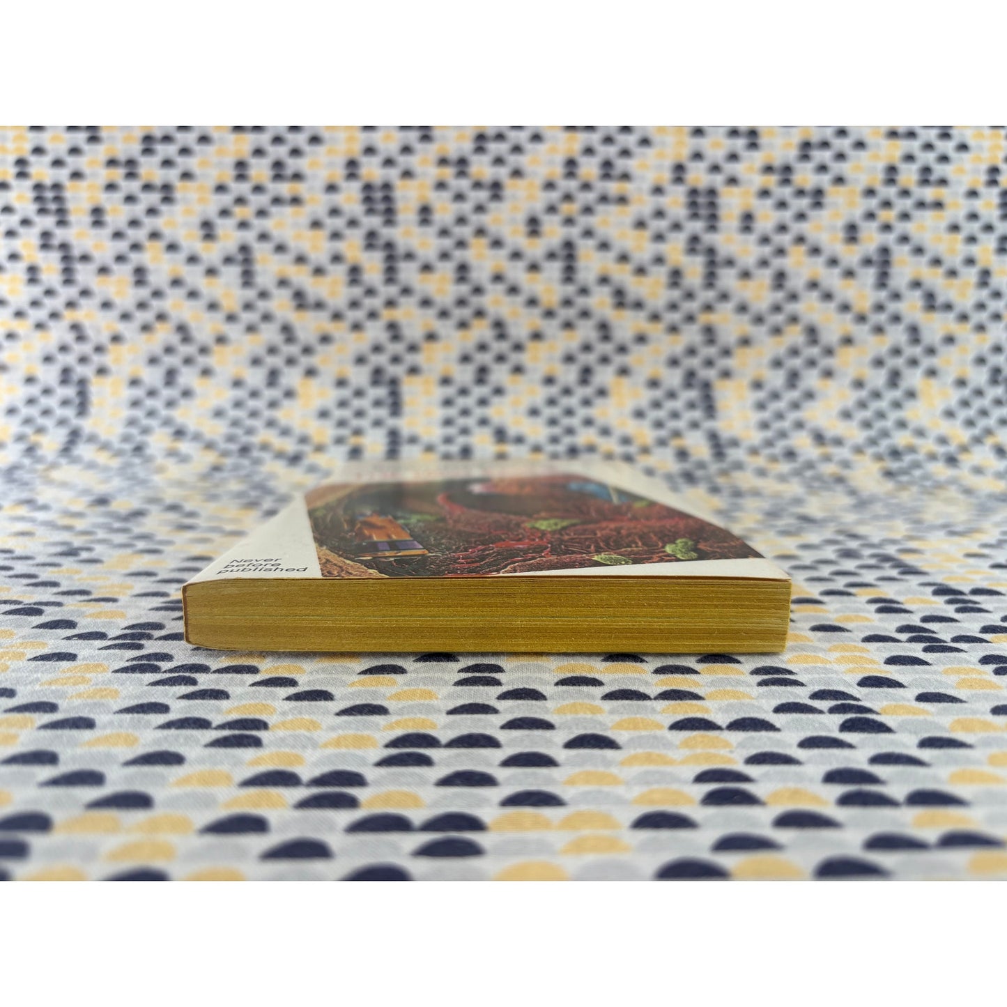 The Men Inside - Barry N. Malzberg - Magnum - Paperback