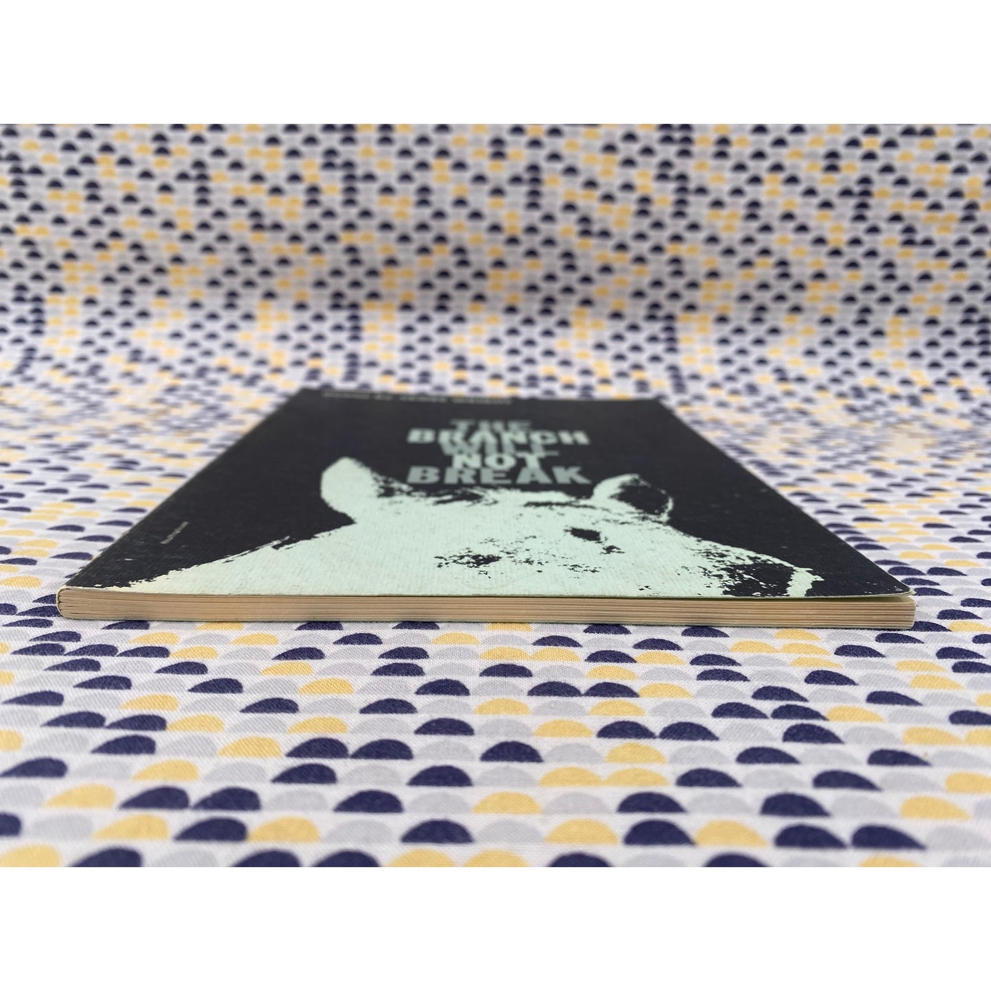 The Branch Will Not Break - James Wright - Wesleyan - Paperback