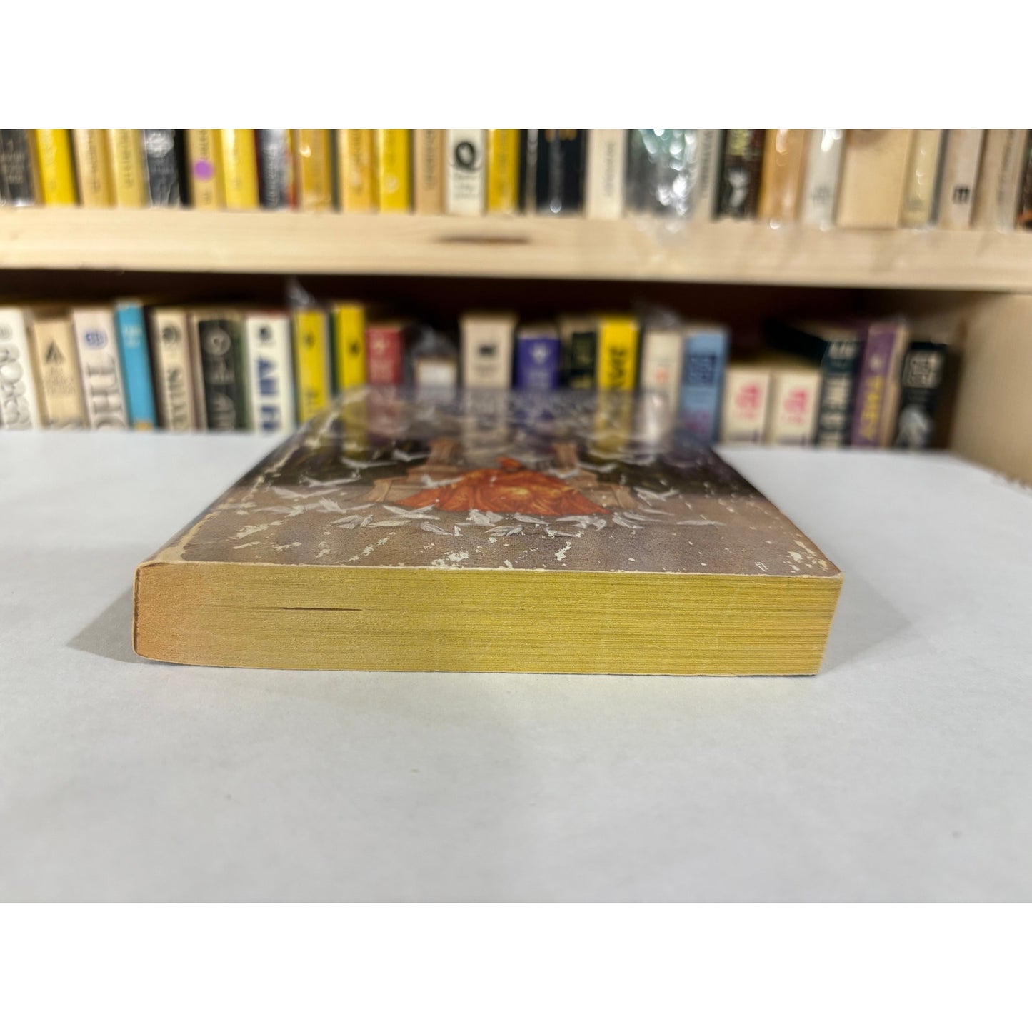 Wizard Of The Pigeons - Megan Lindholm ( Robin Hobb ) - Ace - Paperback