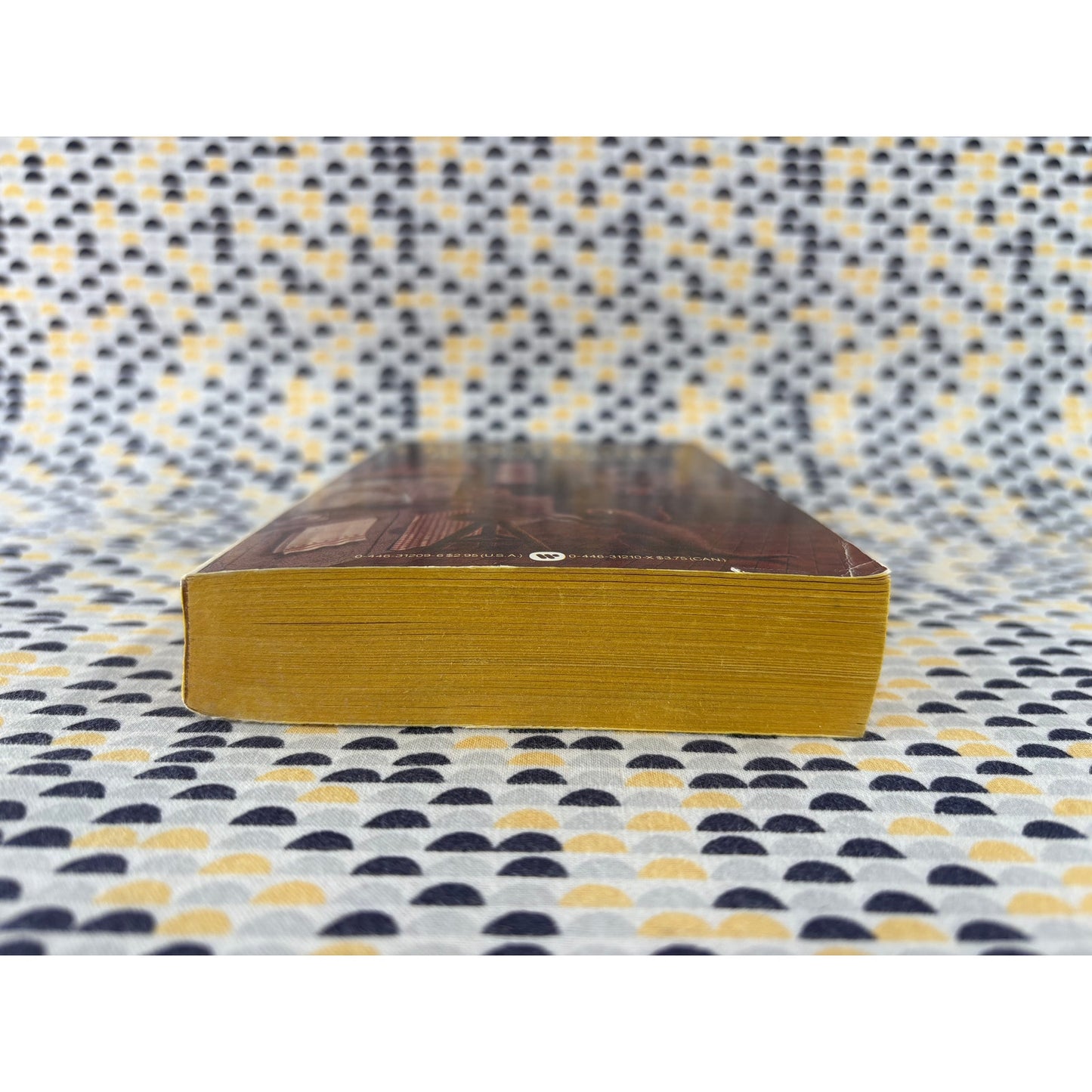 Dragon Winter - Niel Hancock - Warner - Paperback