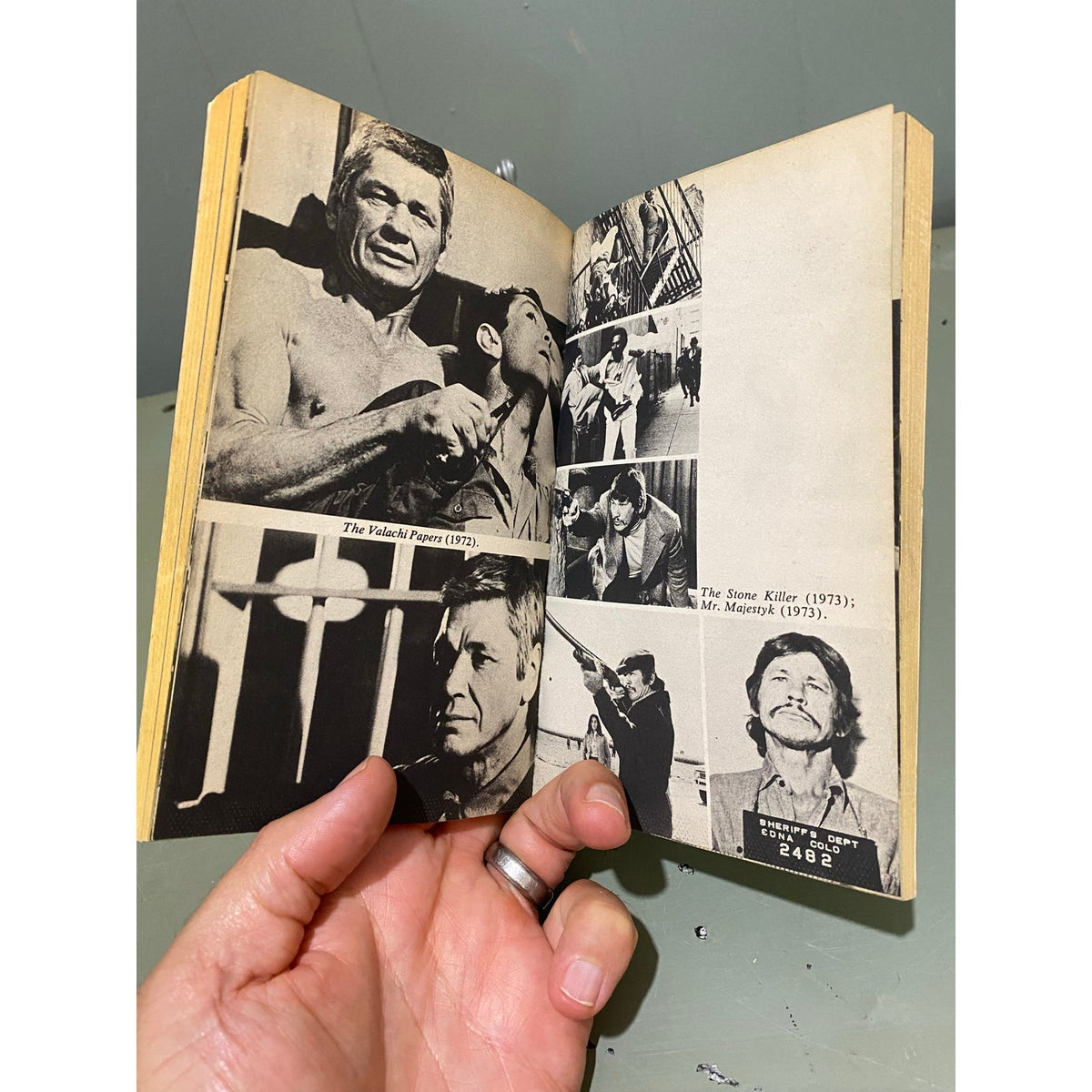 Bronson! - A Biographical Portrait - W. A. Harbinson - Pinnacle - Paperback